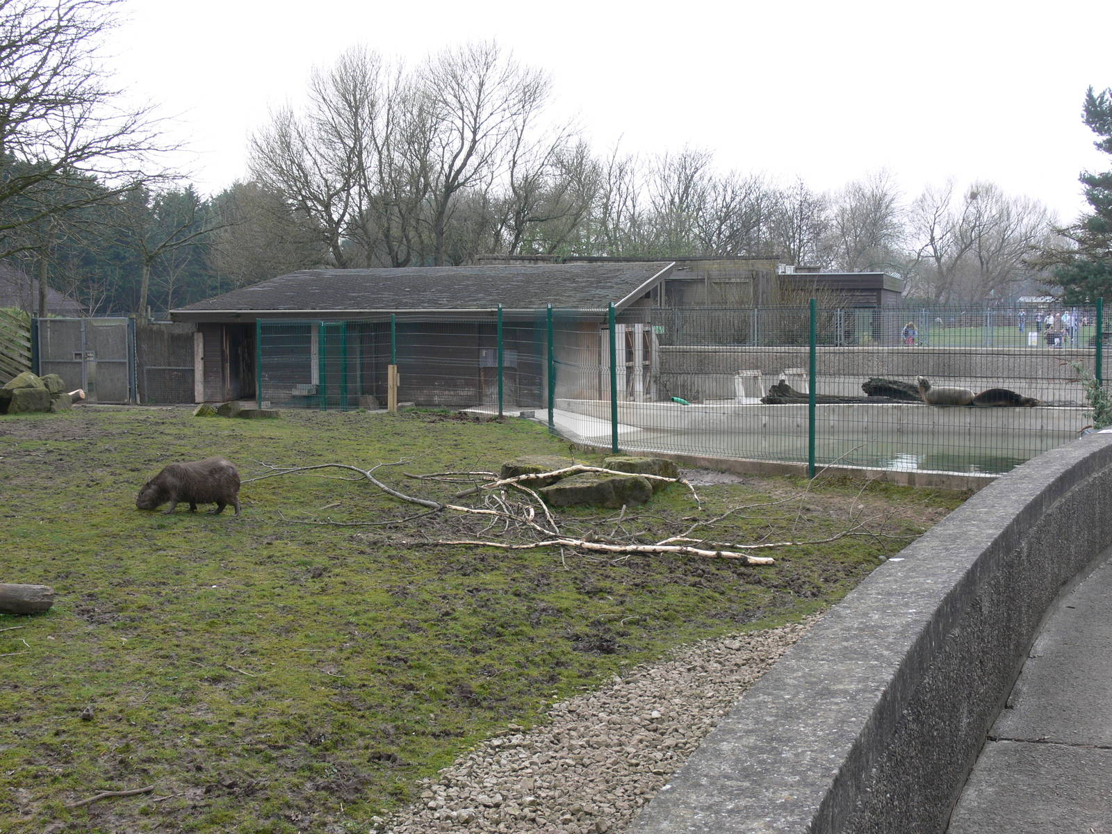 Tapir Exhibit at Blackpool Zoo, 30/03/14