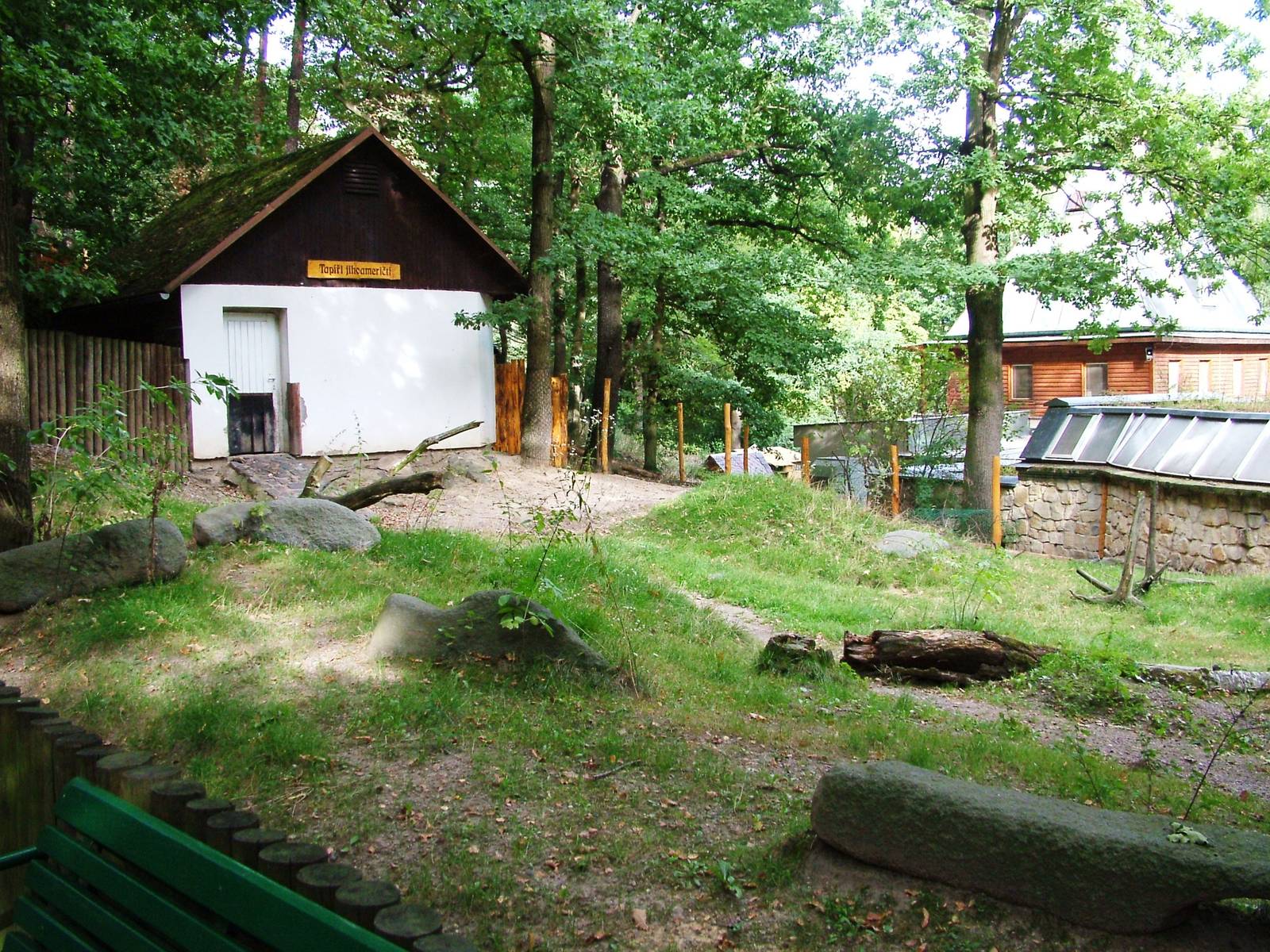 Tapir Exhibit at Decin, 28/08/12