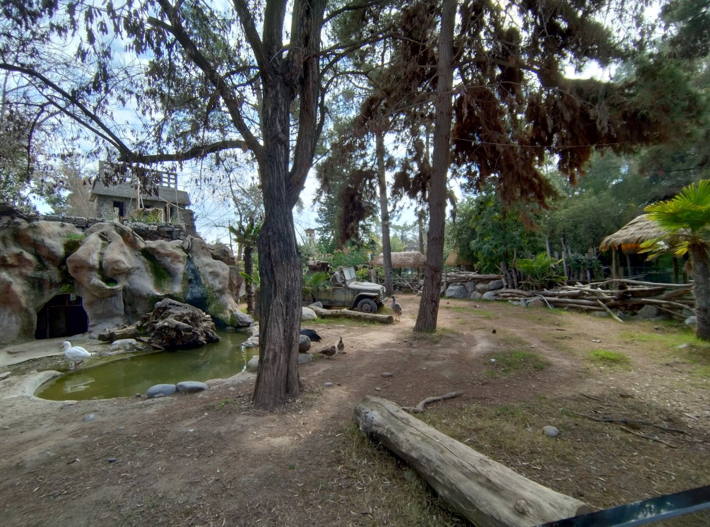 Tapir exhibit - Buin zoo