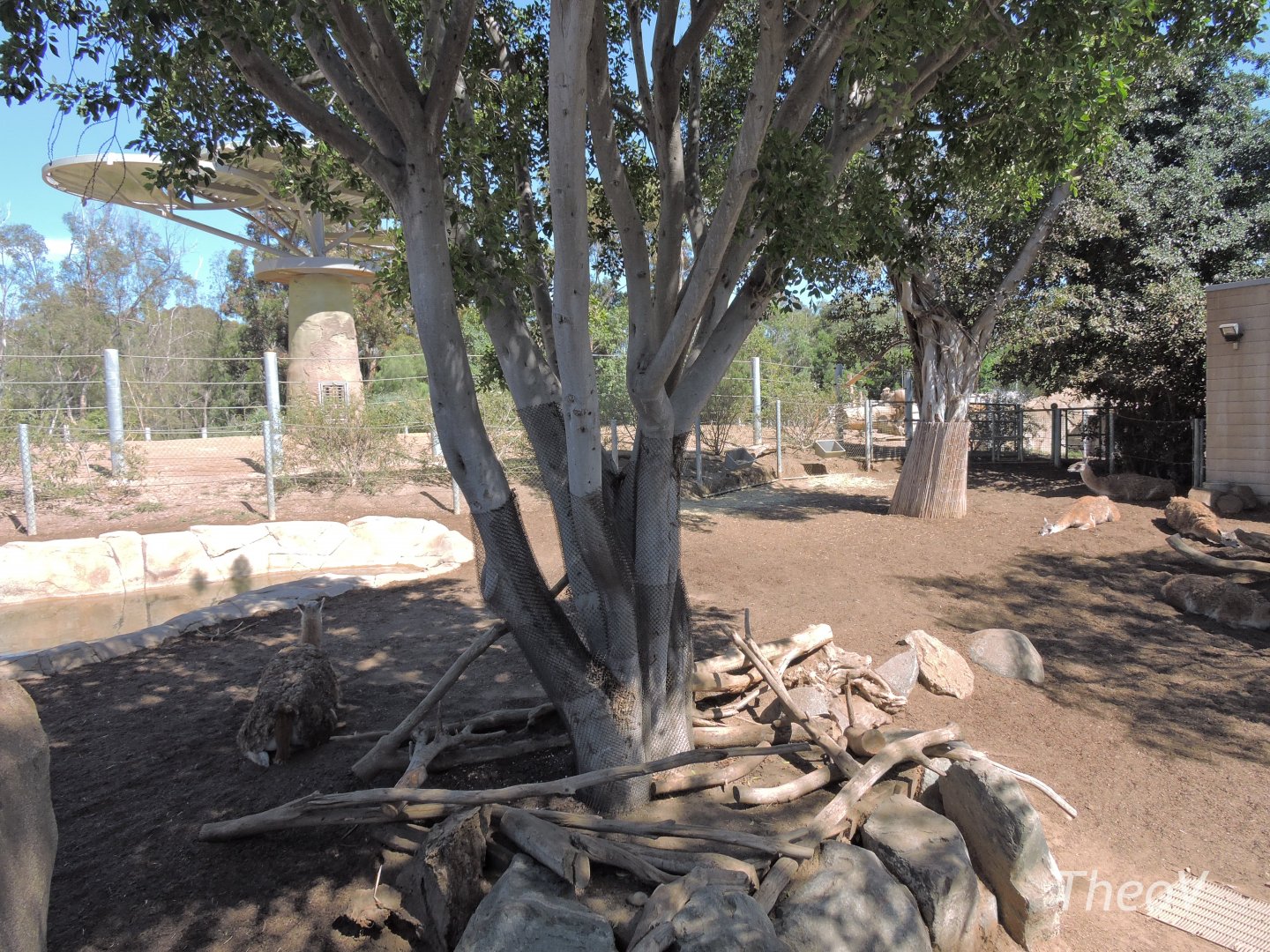 Tapir exhibit - Elephant Odyssey [2015]