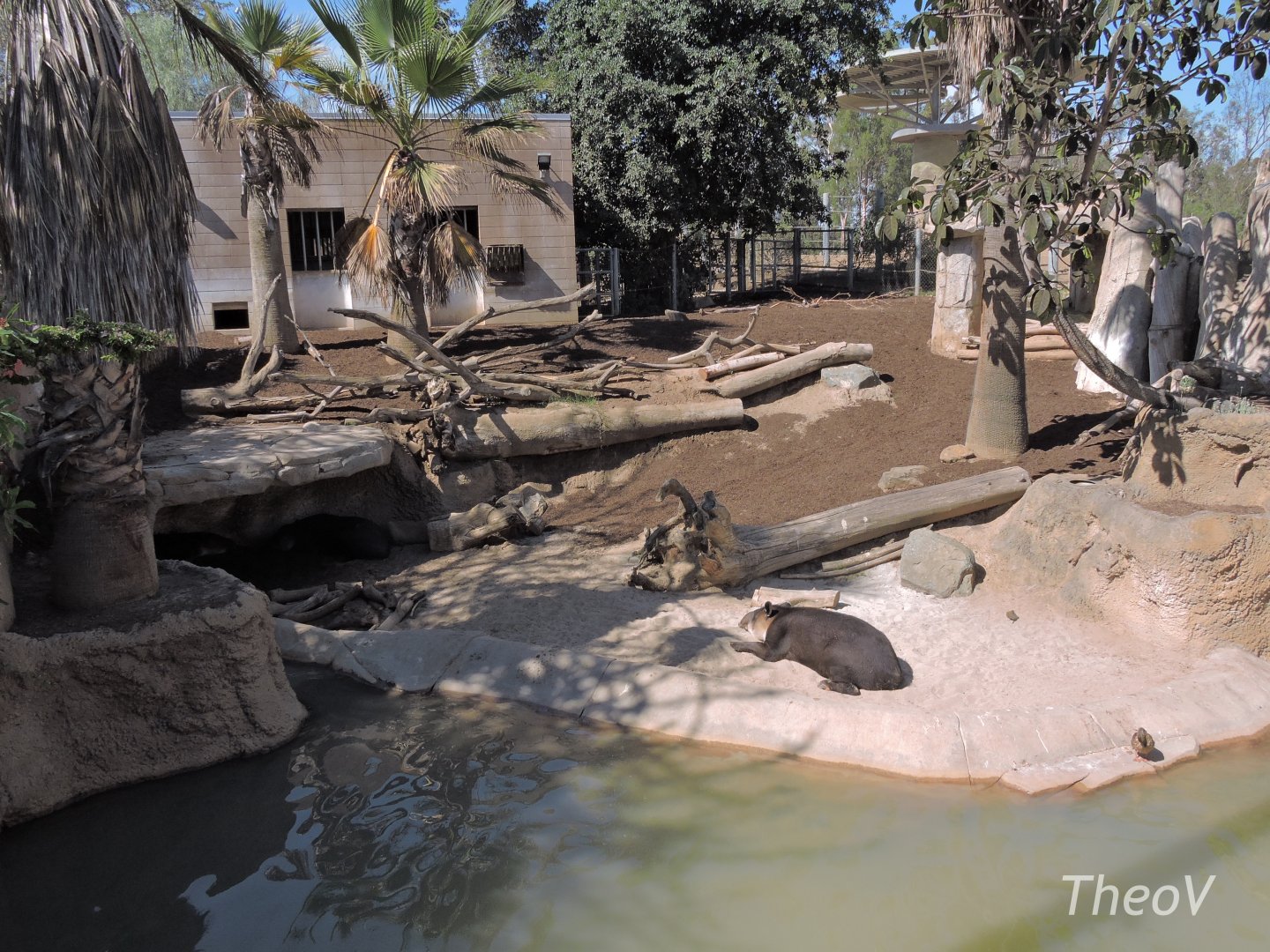 Tapir exhibit - Elephant Odyssey [2015]