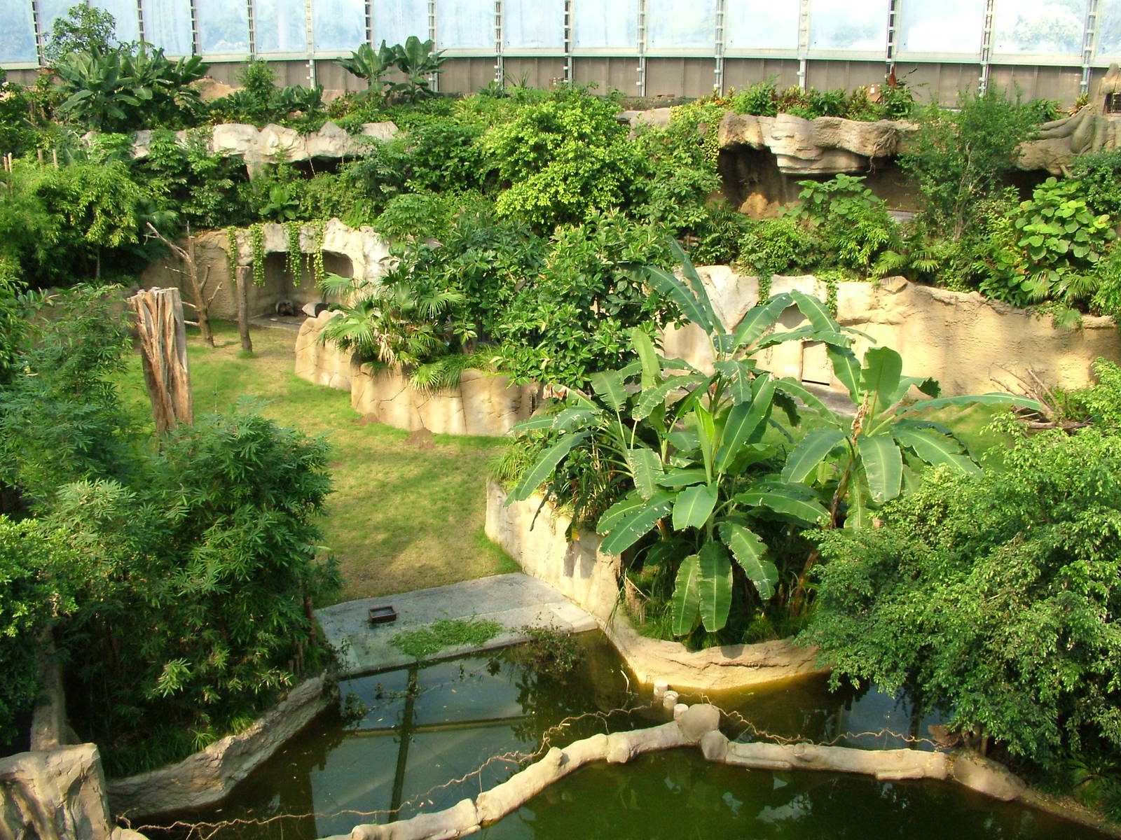 Tapir Exhibit - Gondwanaland, Leipzig, 02/09/11