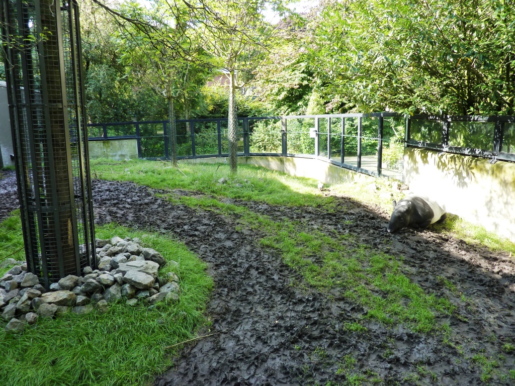 Tapir exhibit outdoor part 1 Artis August 2010