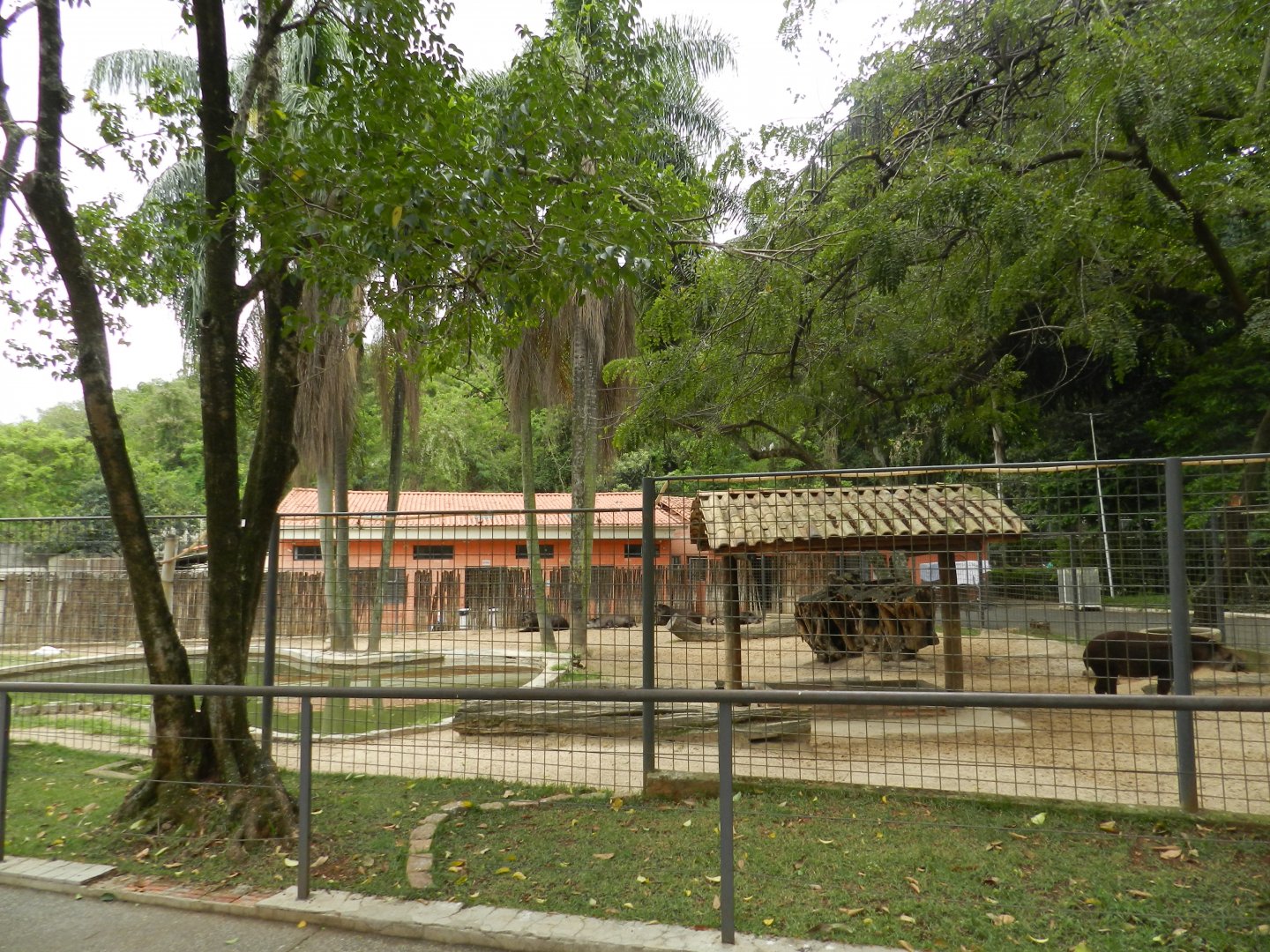 Tapir exhibit - Sorocaba zoo (PZMQB)