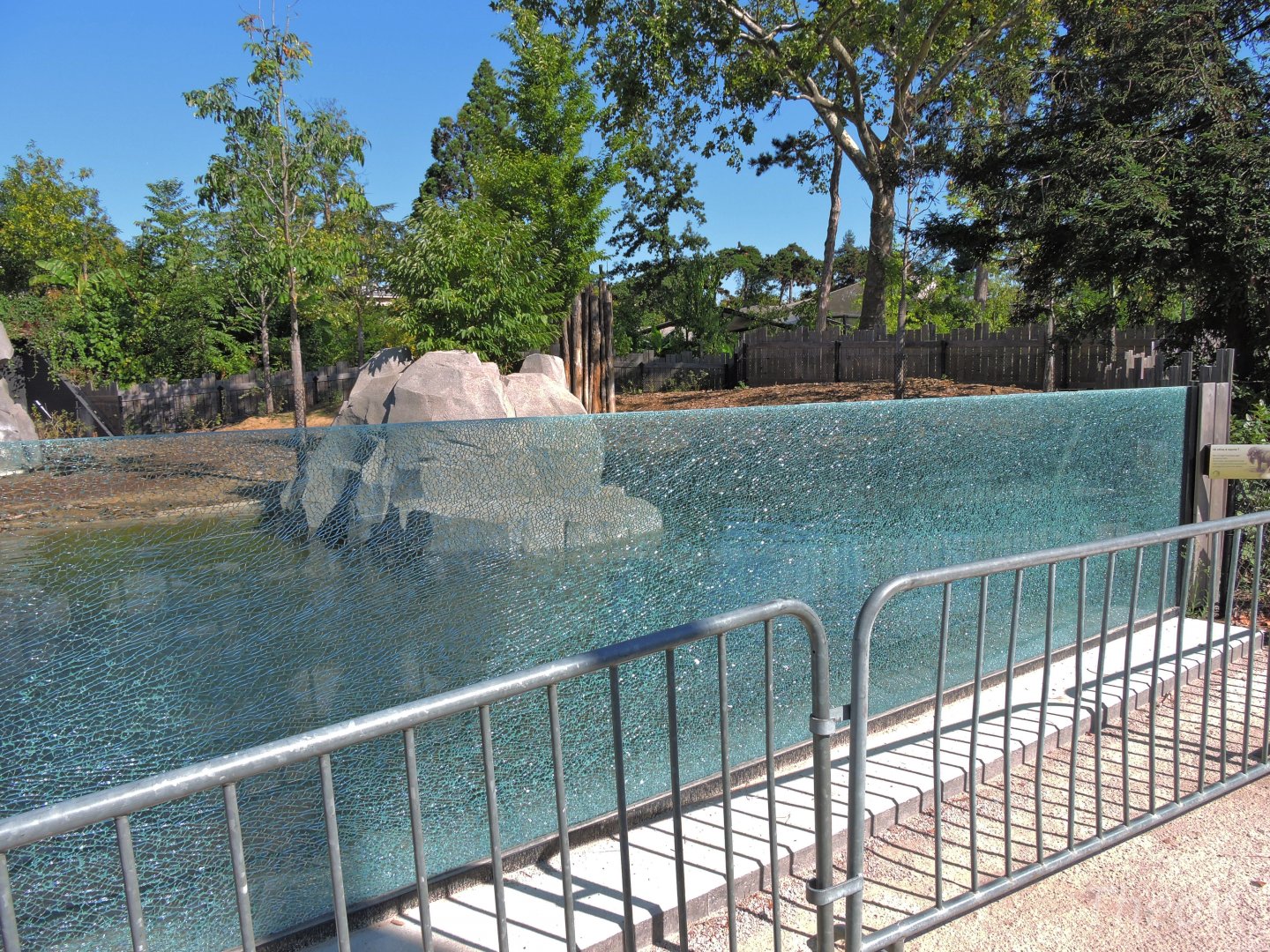 Tapir exhibit window [2015]