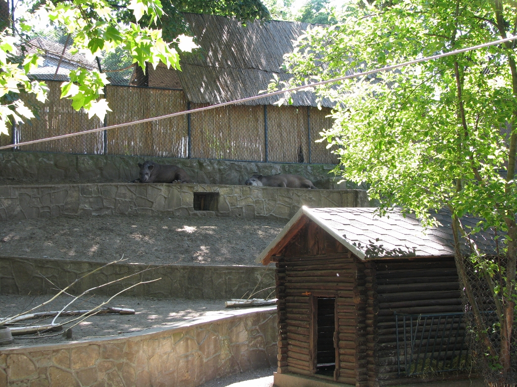 Tapir, Free Climbing Tapir