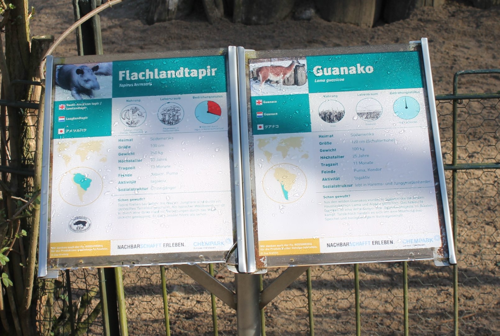 Tapir - Guanaco signs