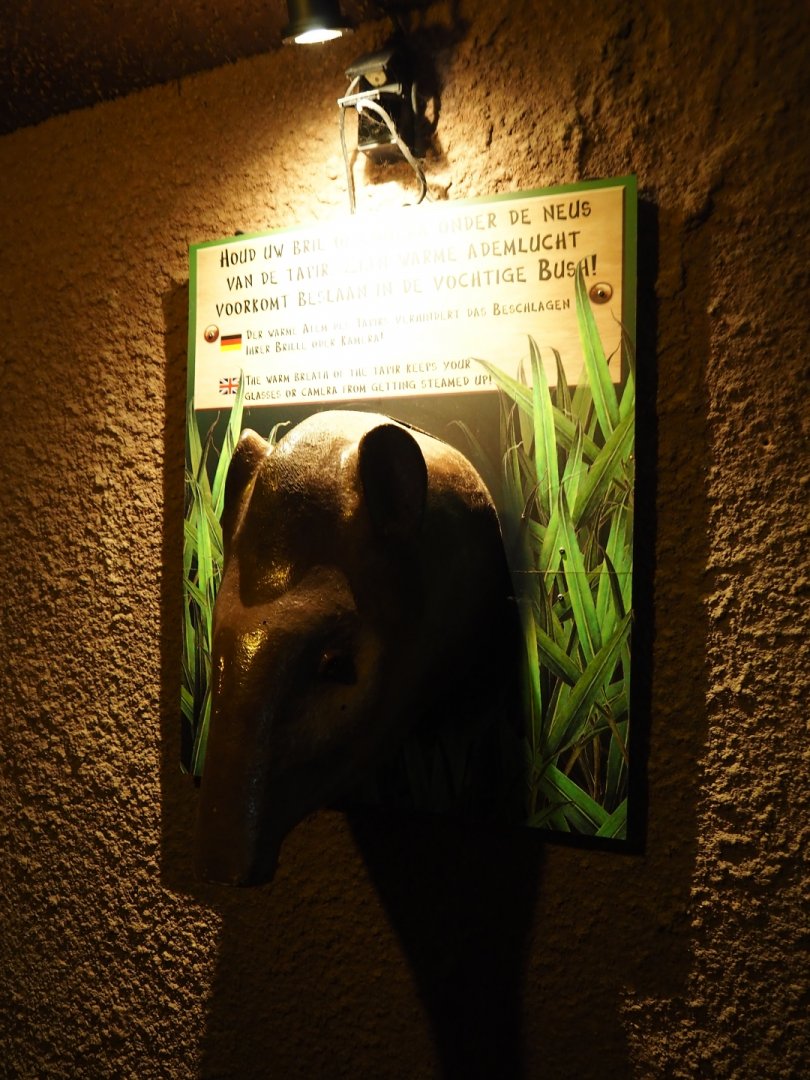 Tapir-head shaped hot air blower  (Sep 16th, 2018)