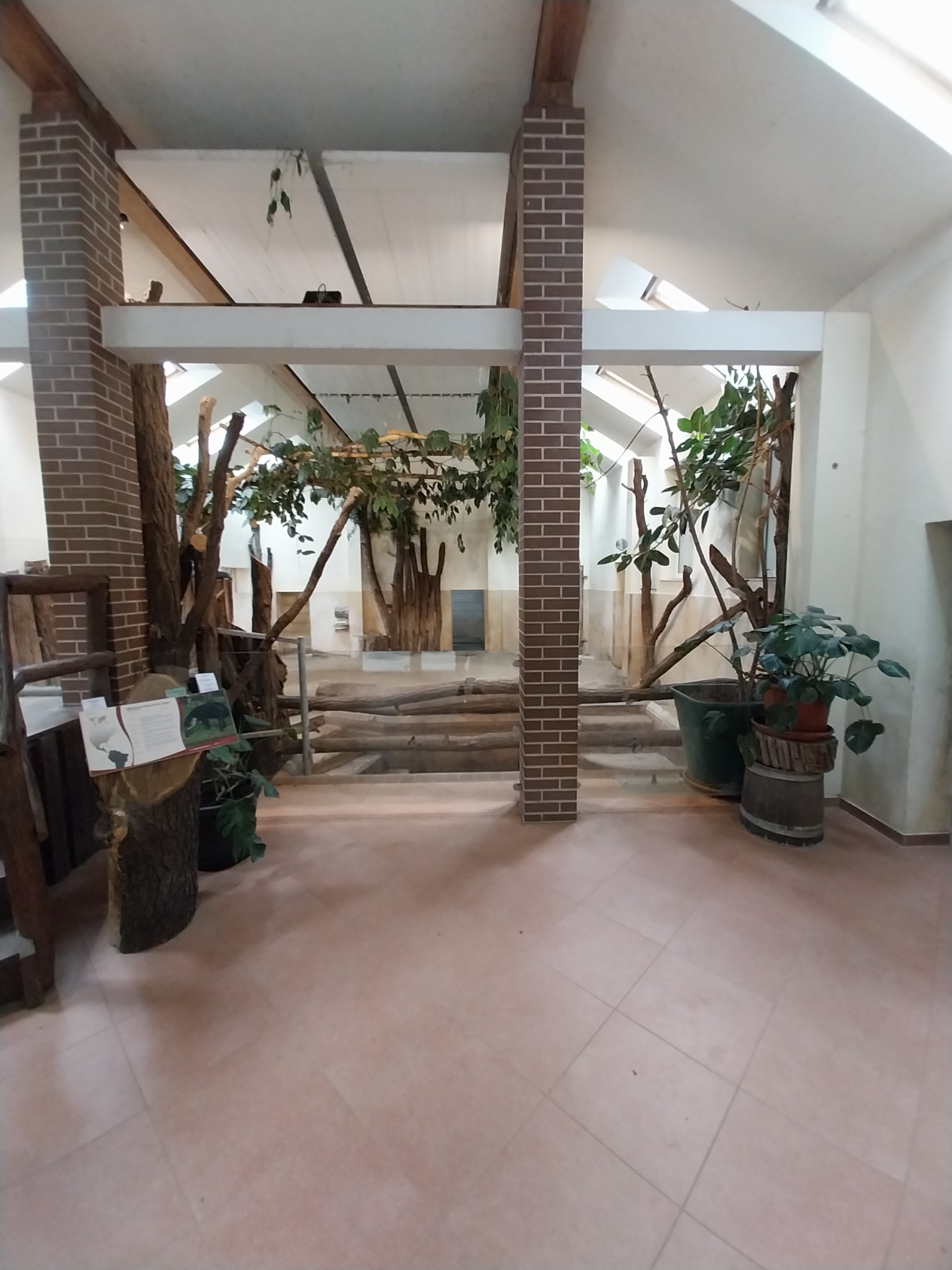 Tapir House - Baird's Tapir (Tapirus bairdii)