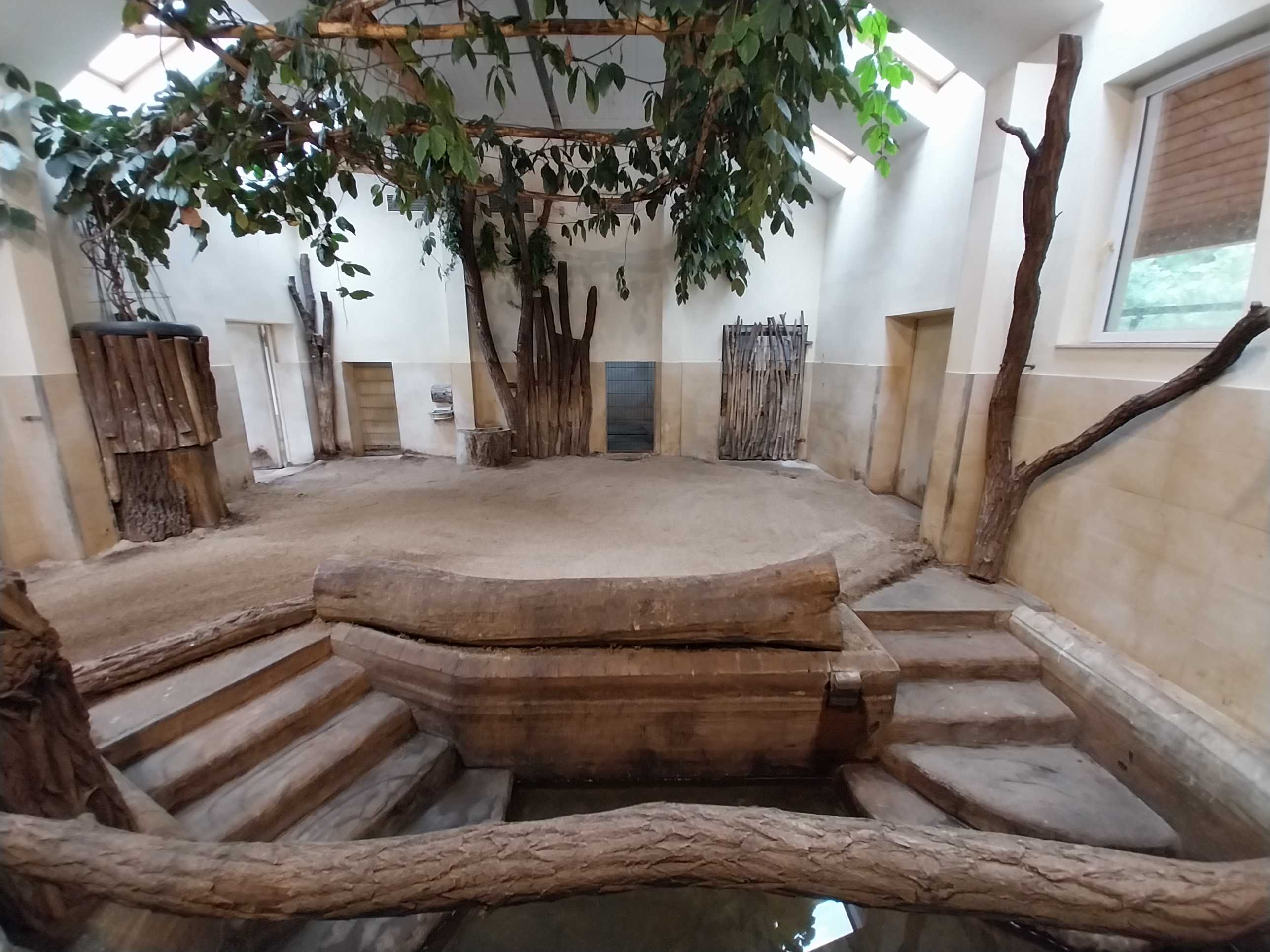 Tapir House - Baird's Tapir (Tapirus bairdii)