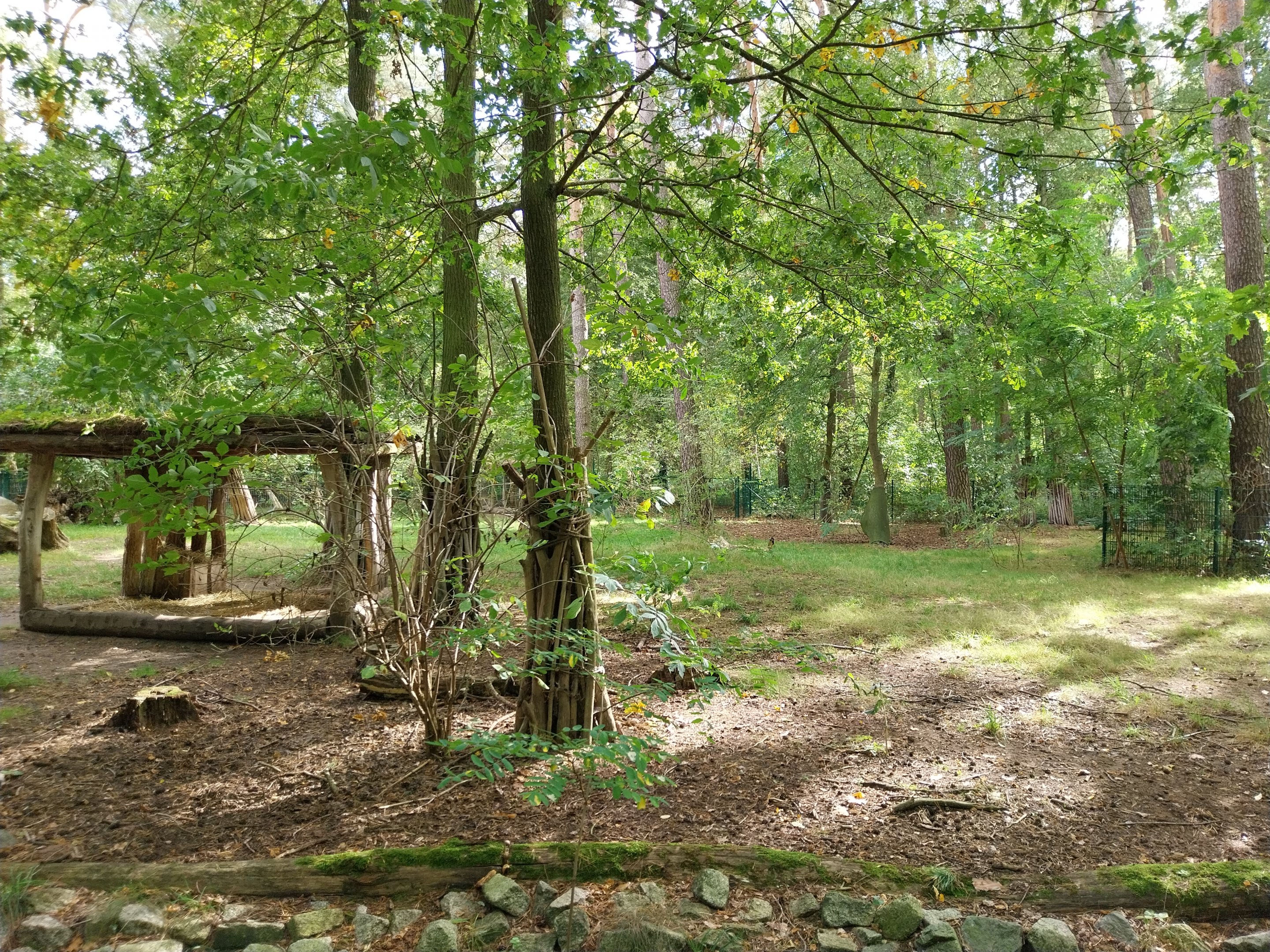 Tapir House - Baird's Tapir (Tapirus bairdii)