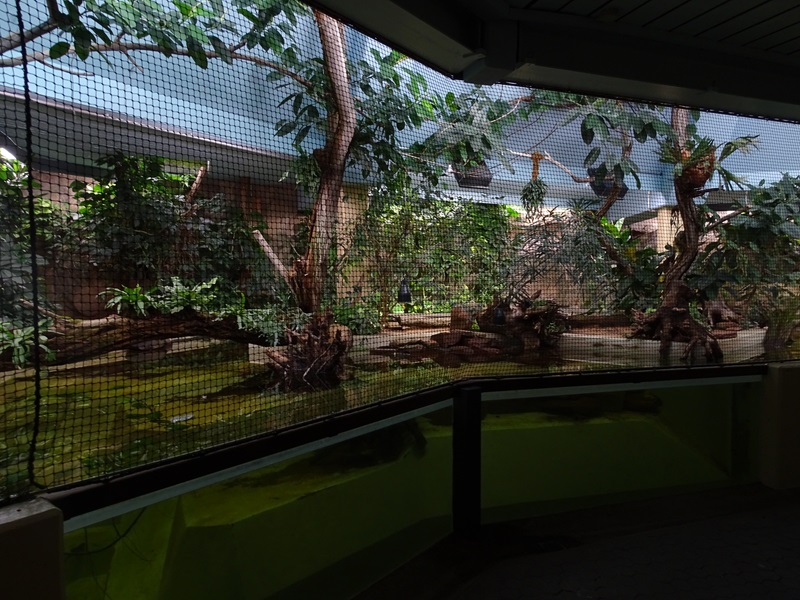 Tapir House: duck/fish enclosure (former manatee pool)