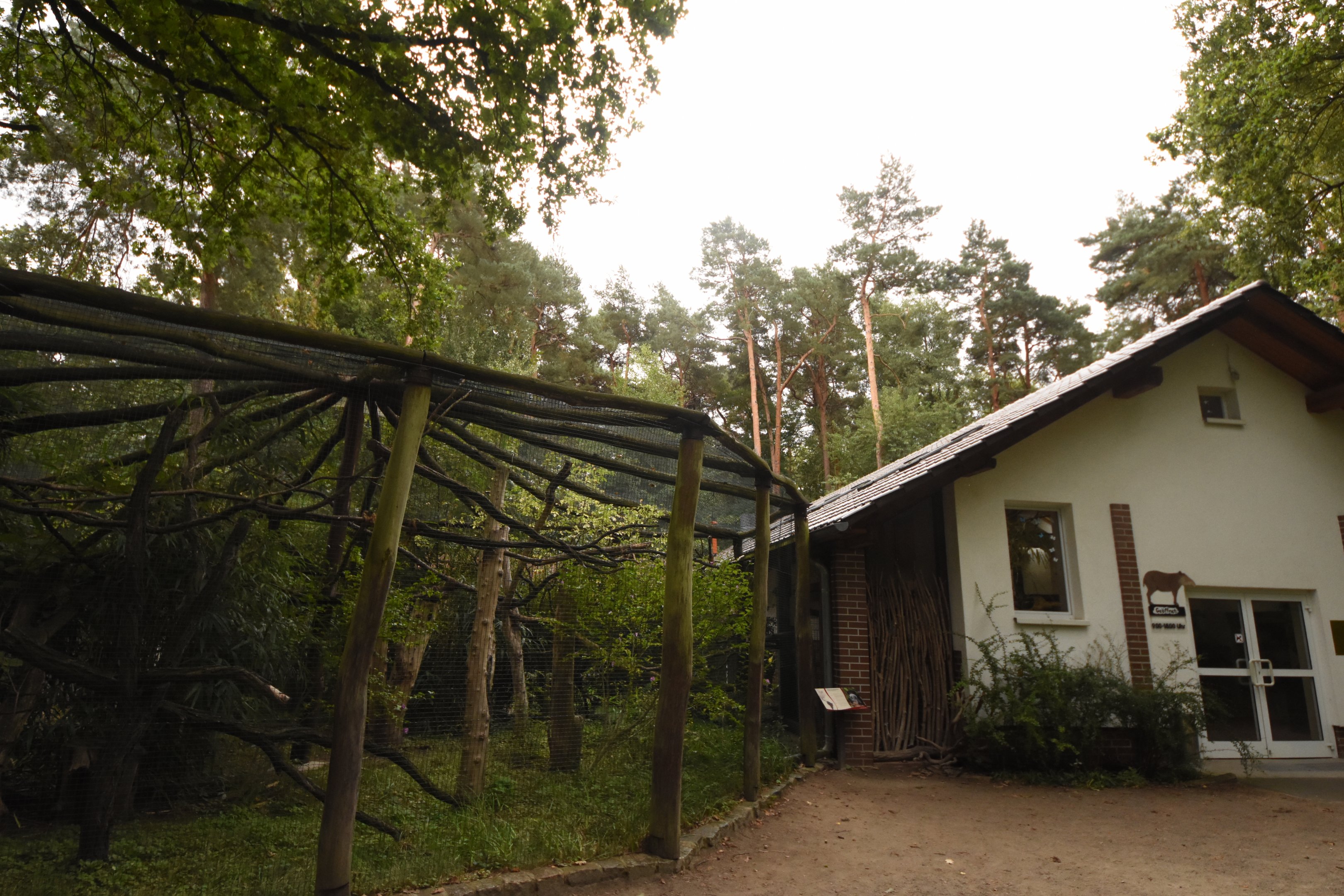 Tapir house - Emperor bearded tamarin outdoors