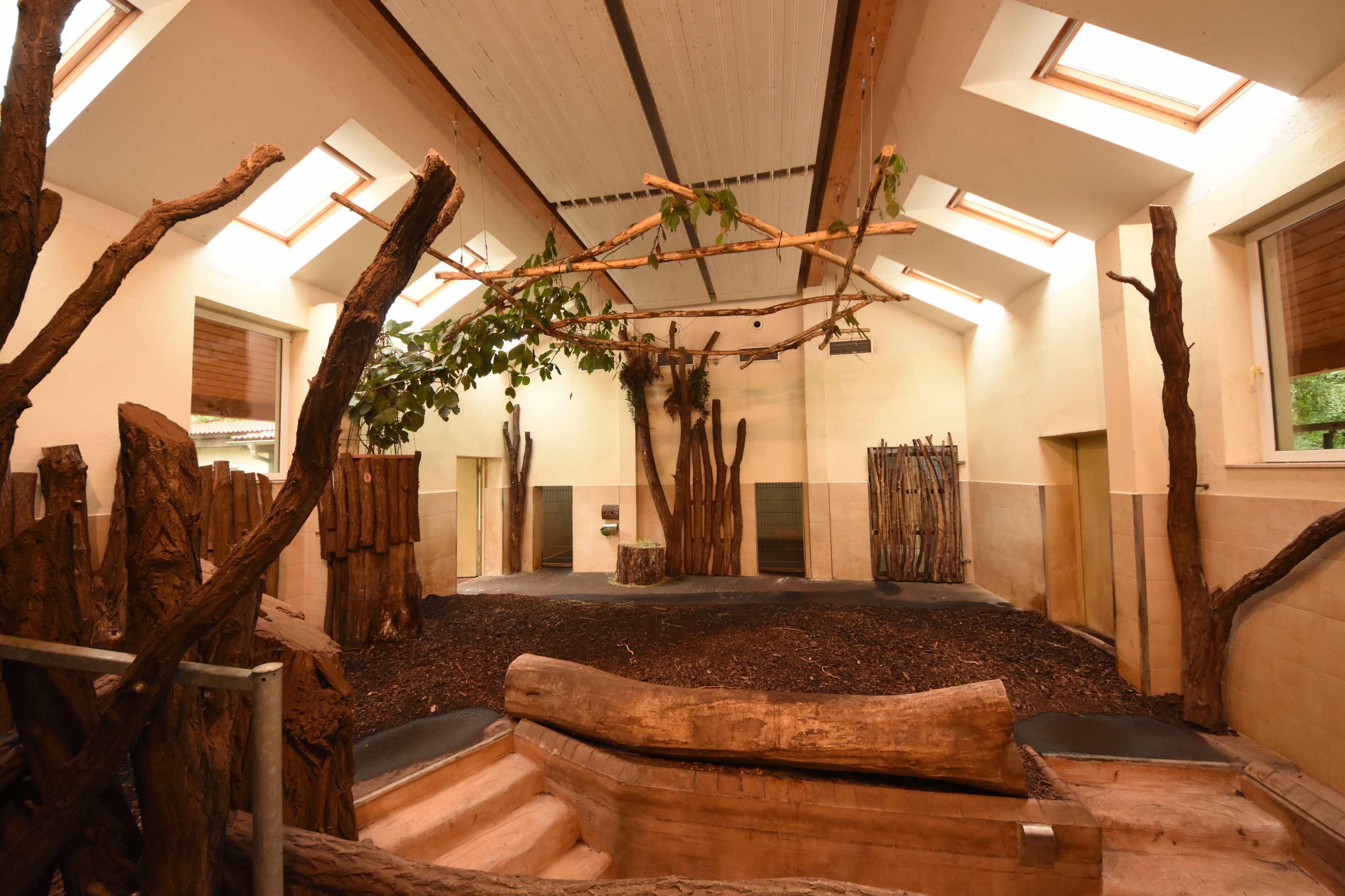 Tapir house - Indoor