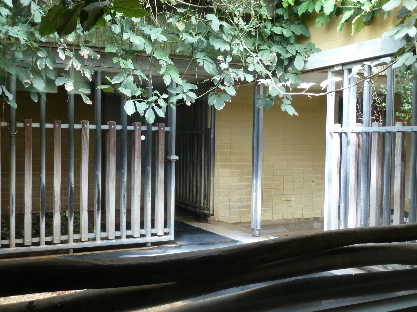 Tapir house interior