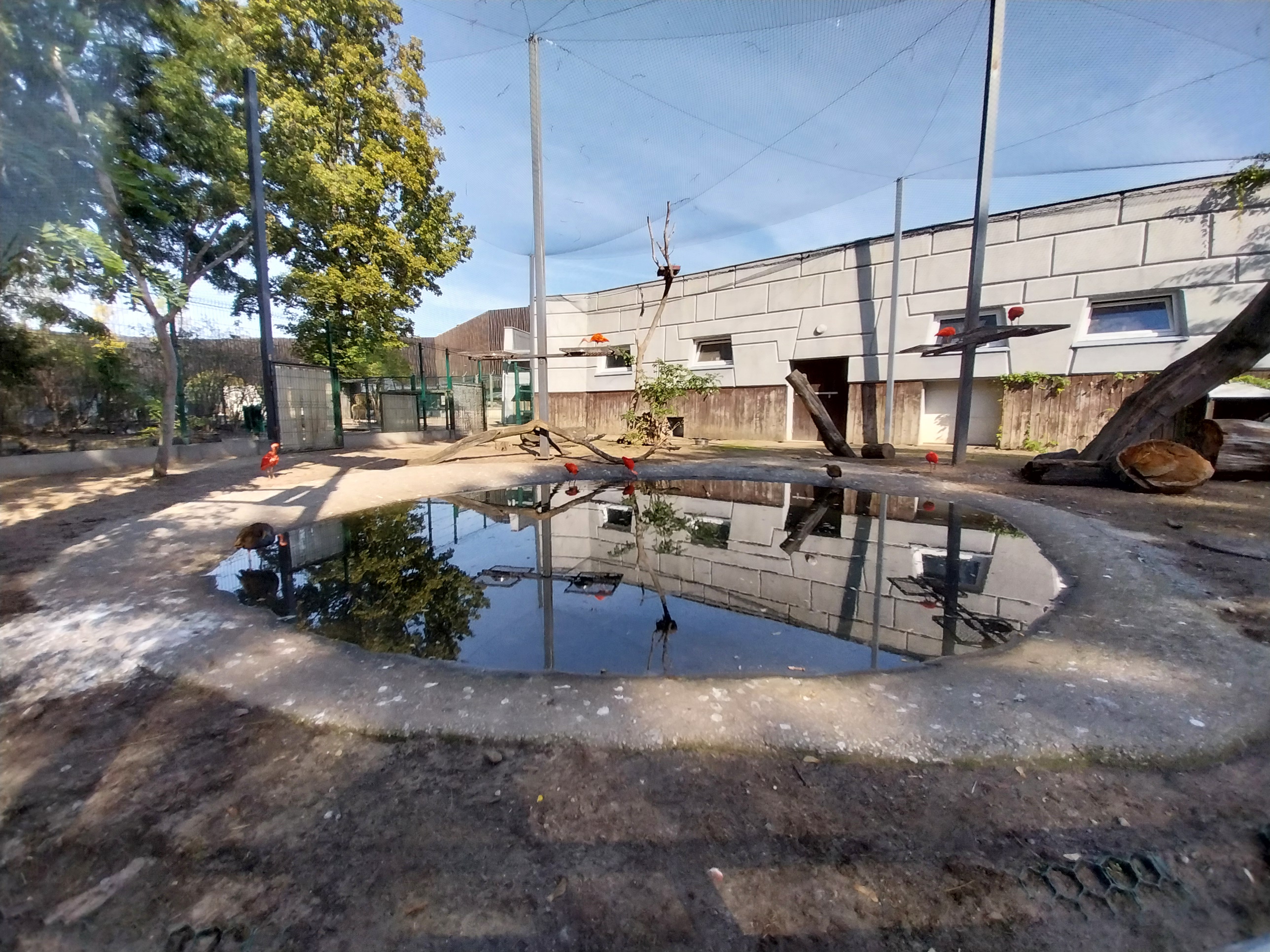Tapir House - Mixed species aviary