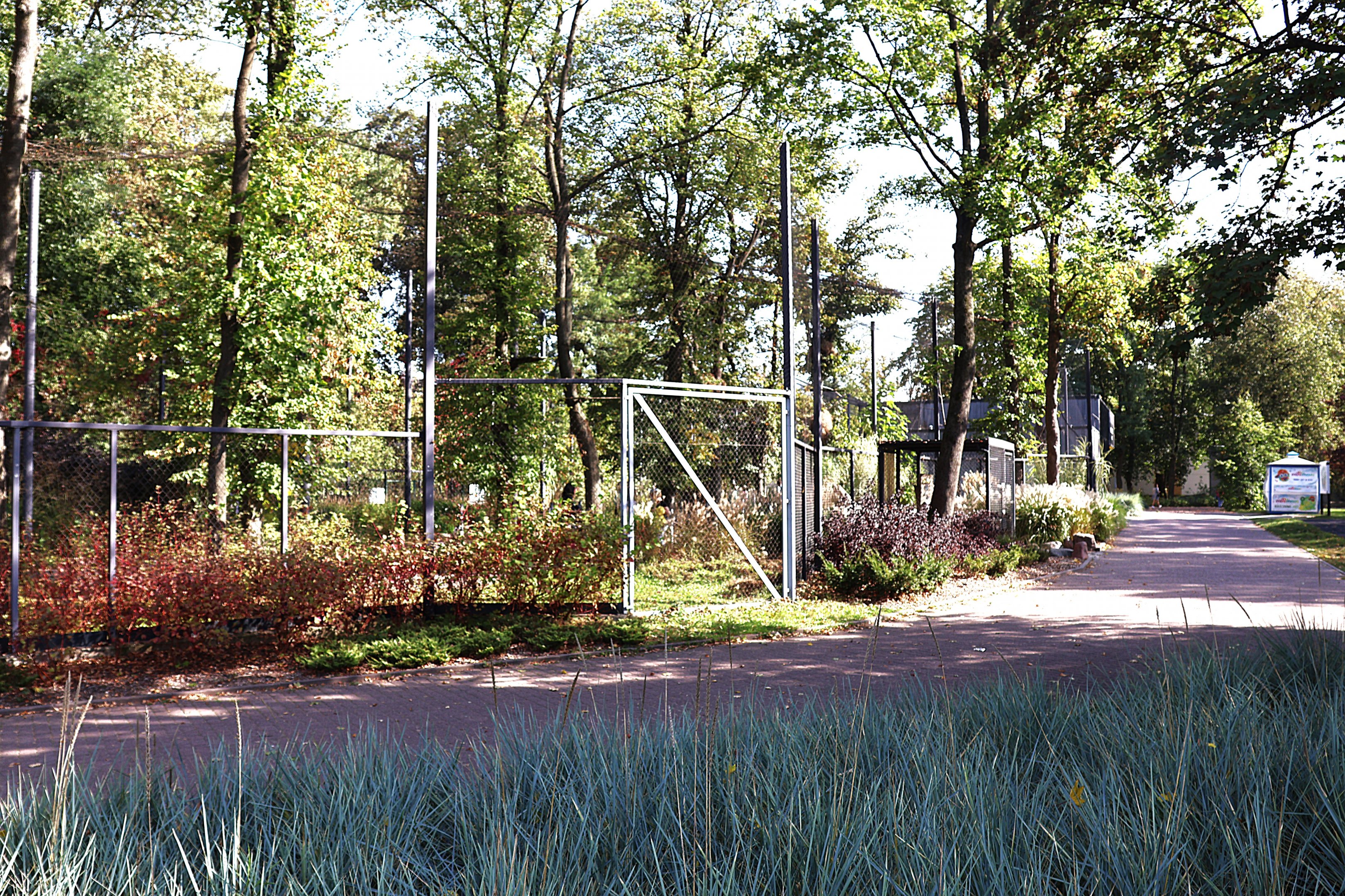 Tapir House - Mixed species enclosure
