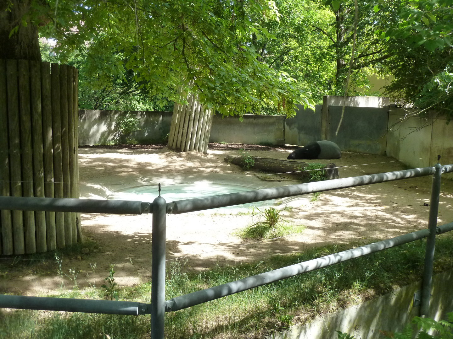 Tapir house - Second Malayan tapir enclosure