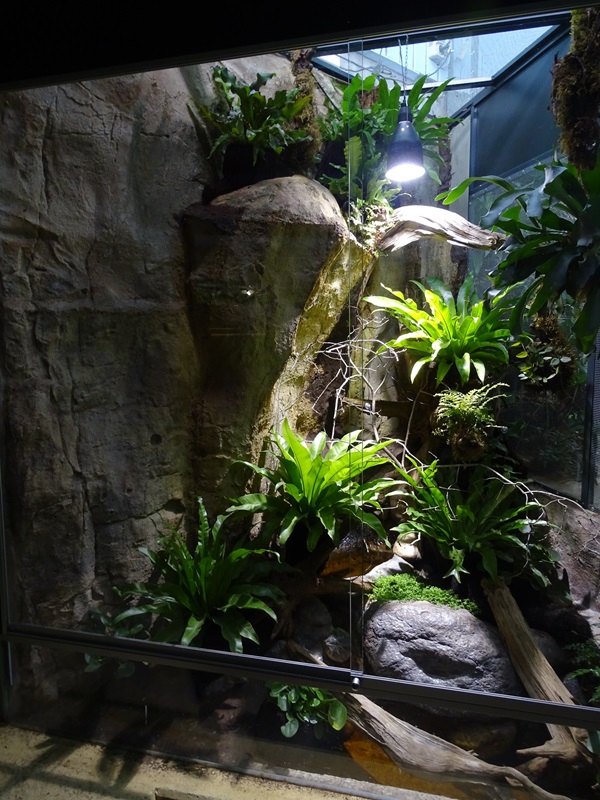 Tapir House: Terrarium for crocodile lizards