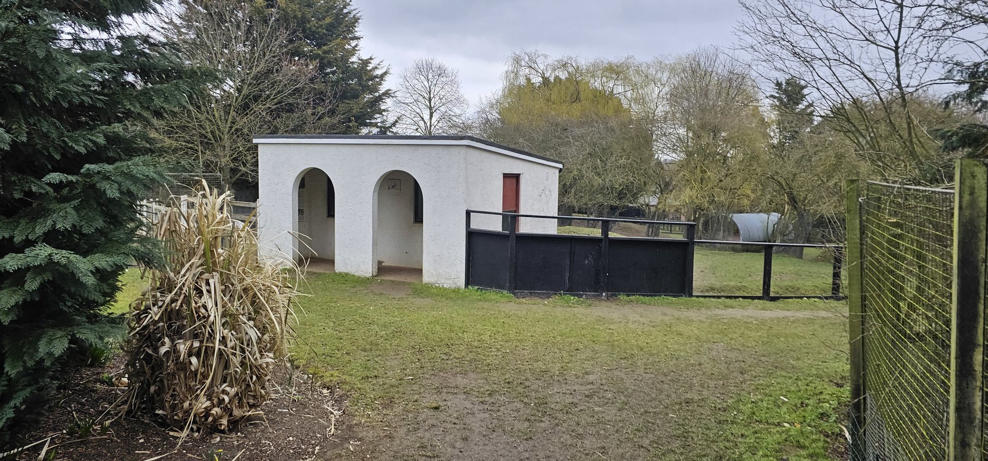 Tapir house with indoor windows,  lowland tapir