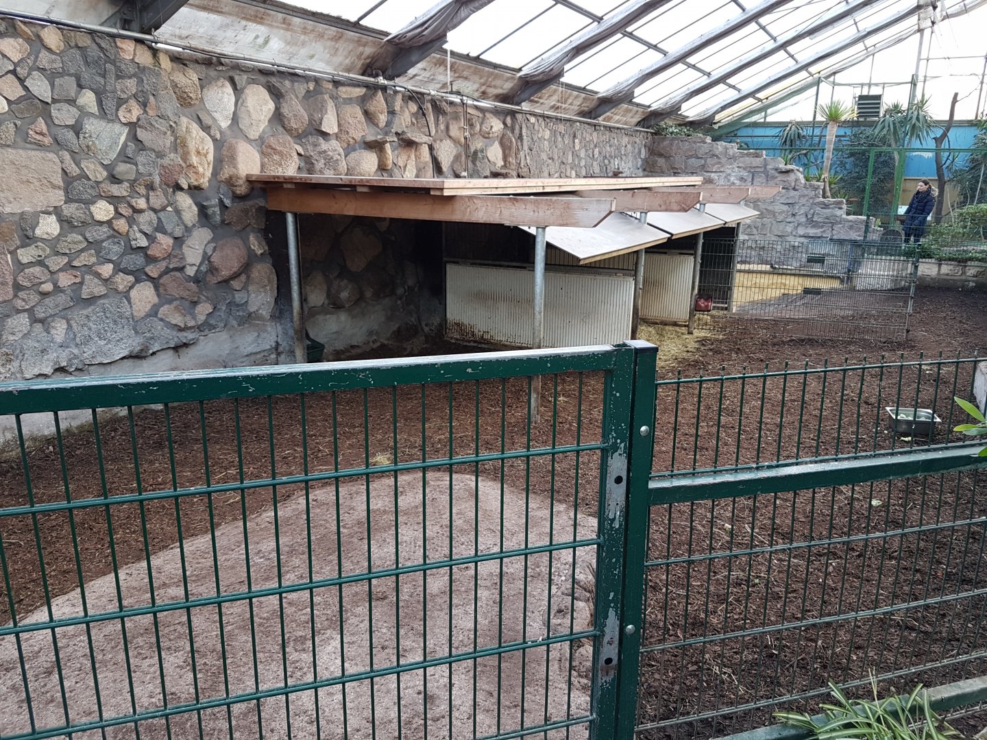 Tapir-indoor-enclosure Paradieshalle