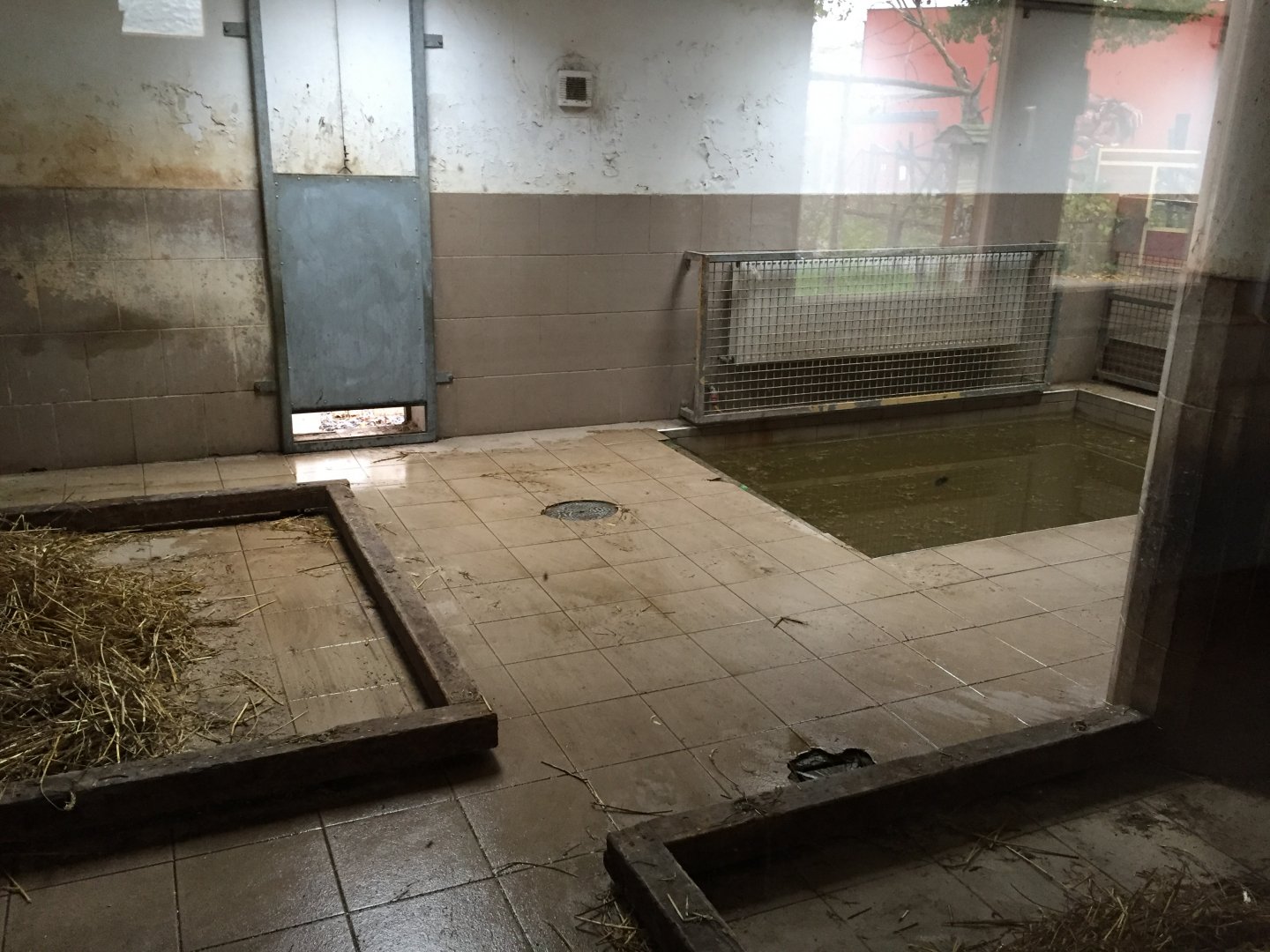 Tapir indoor exhibit 10.2020.