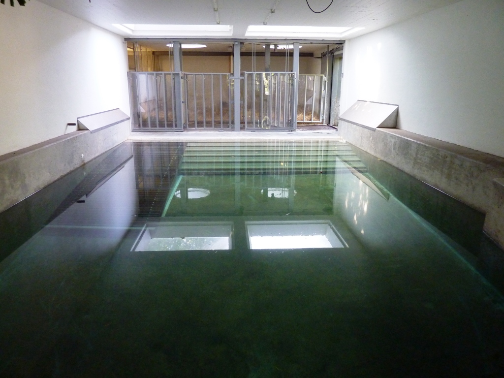 Tapir indoor outdoor part 1 Artis August 2010