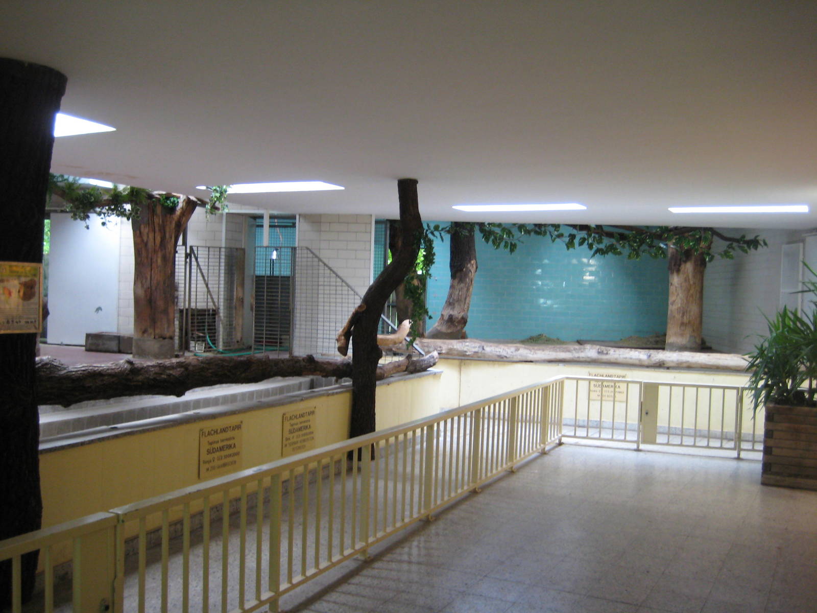 Tapir Inside Exhibits