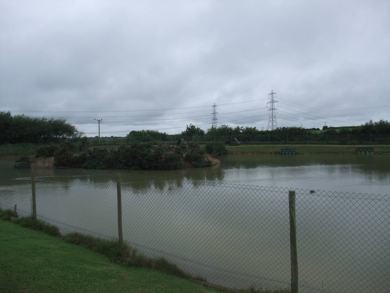 Tapir Lake at Folly Farm, 01/08/11