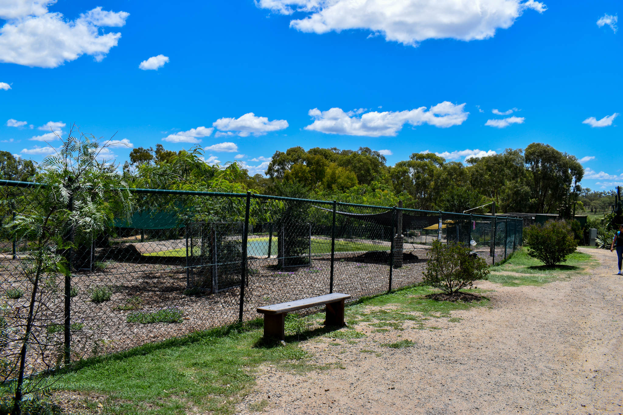 Tapir/Mara/Capybara Enclosure