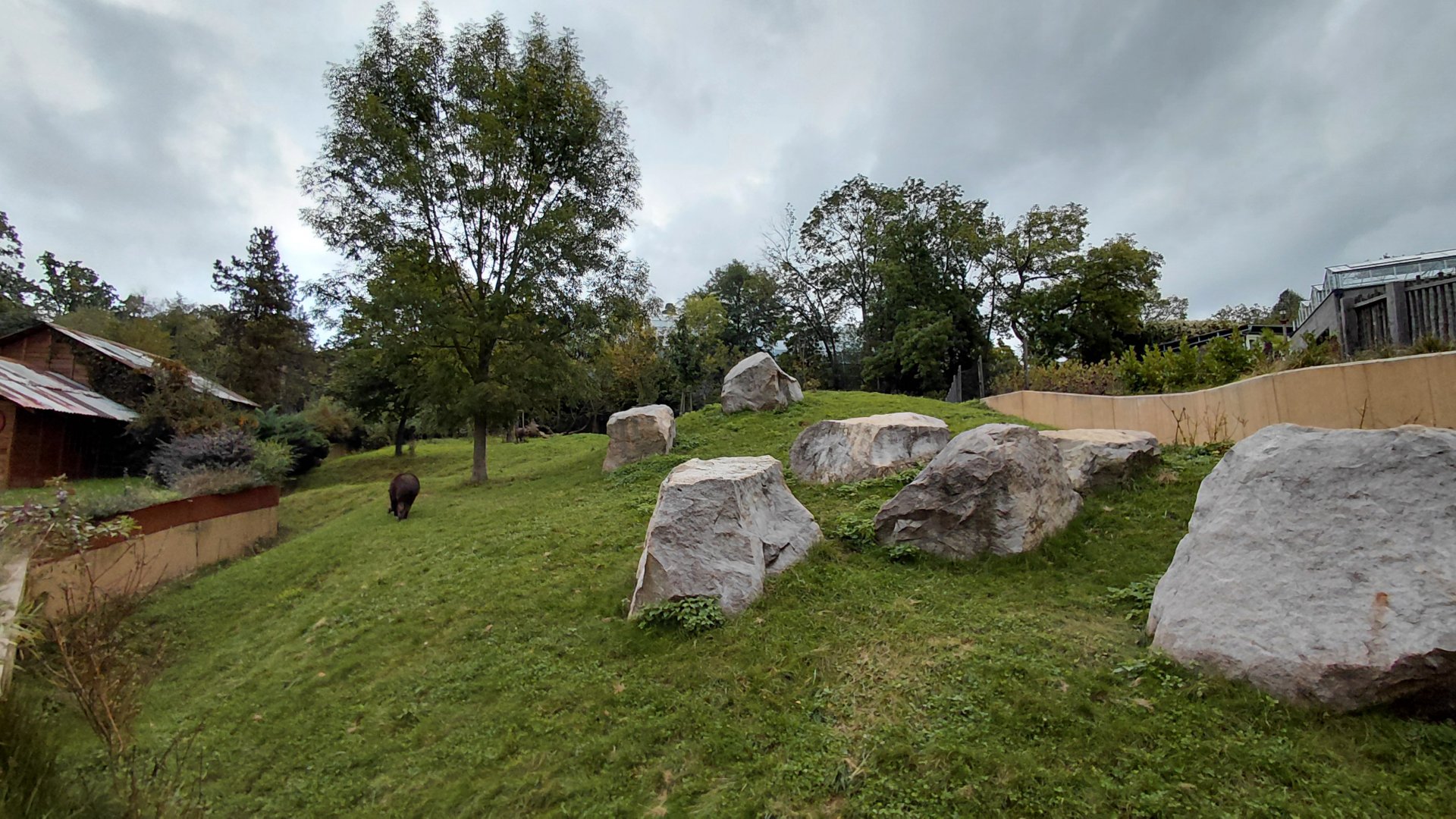 Tapir + mara exhibit
