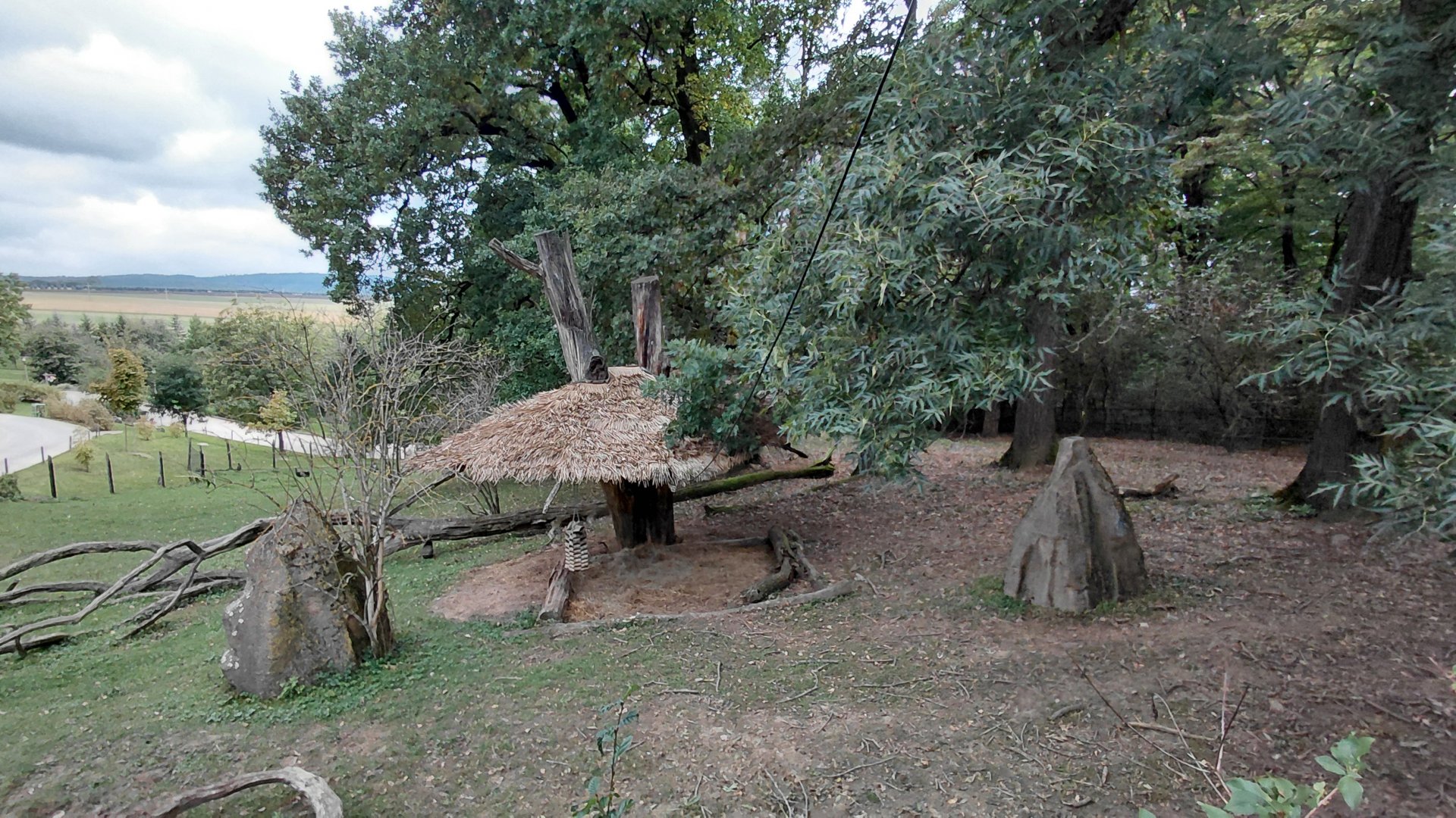 Tapir + mara exhibit