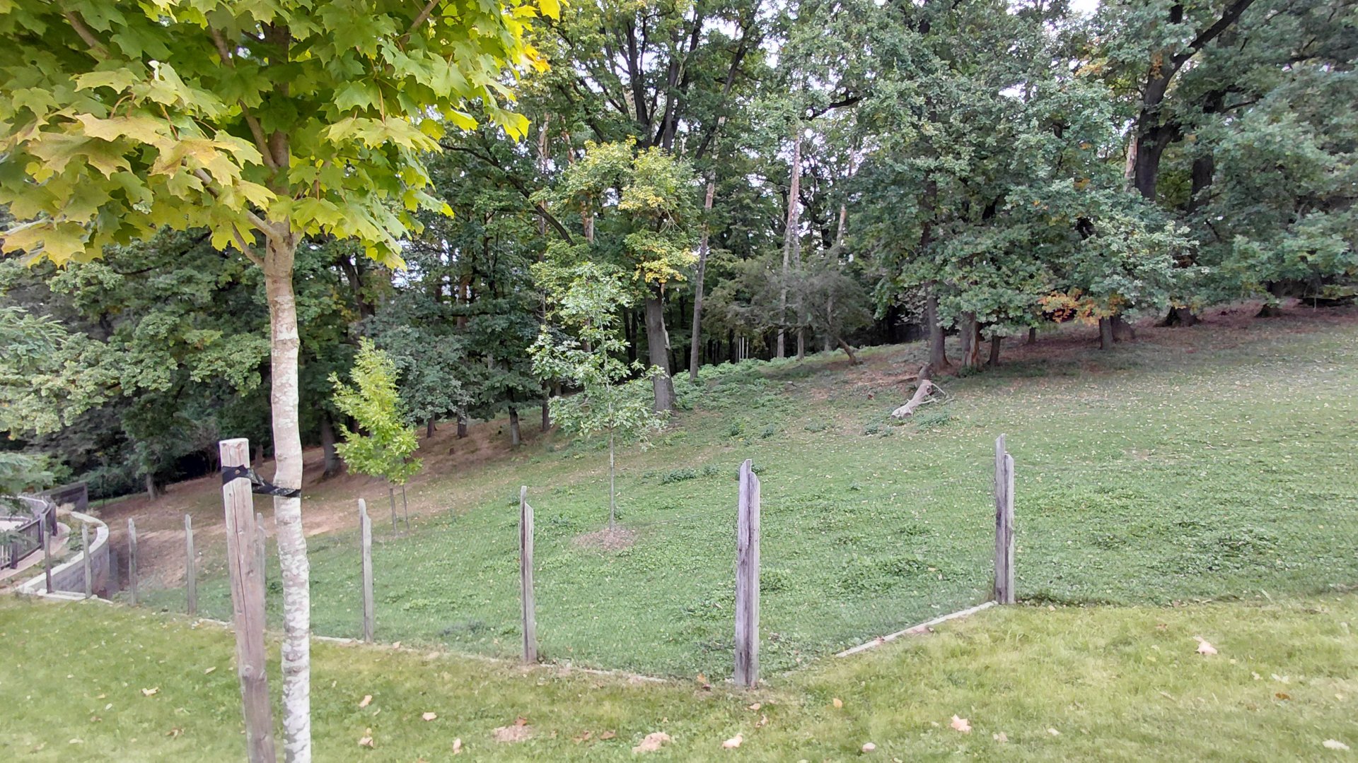 Tapir + mara exhibit