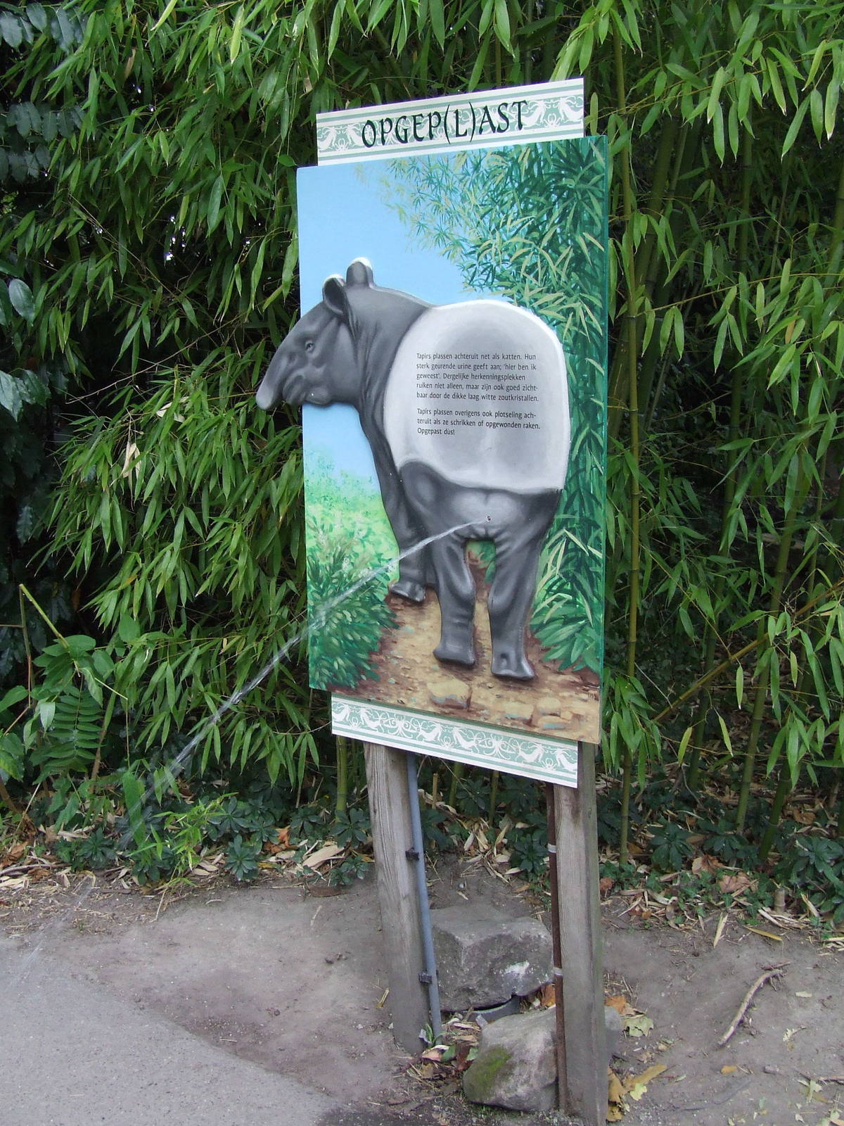 Tapir marking