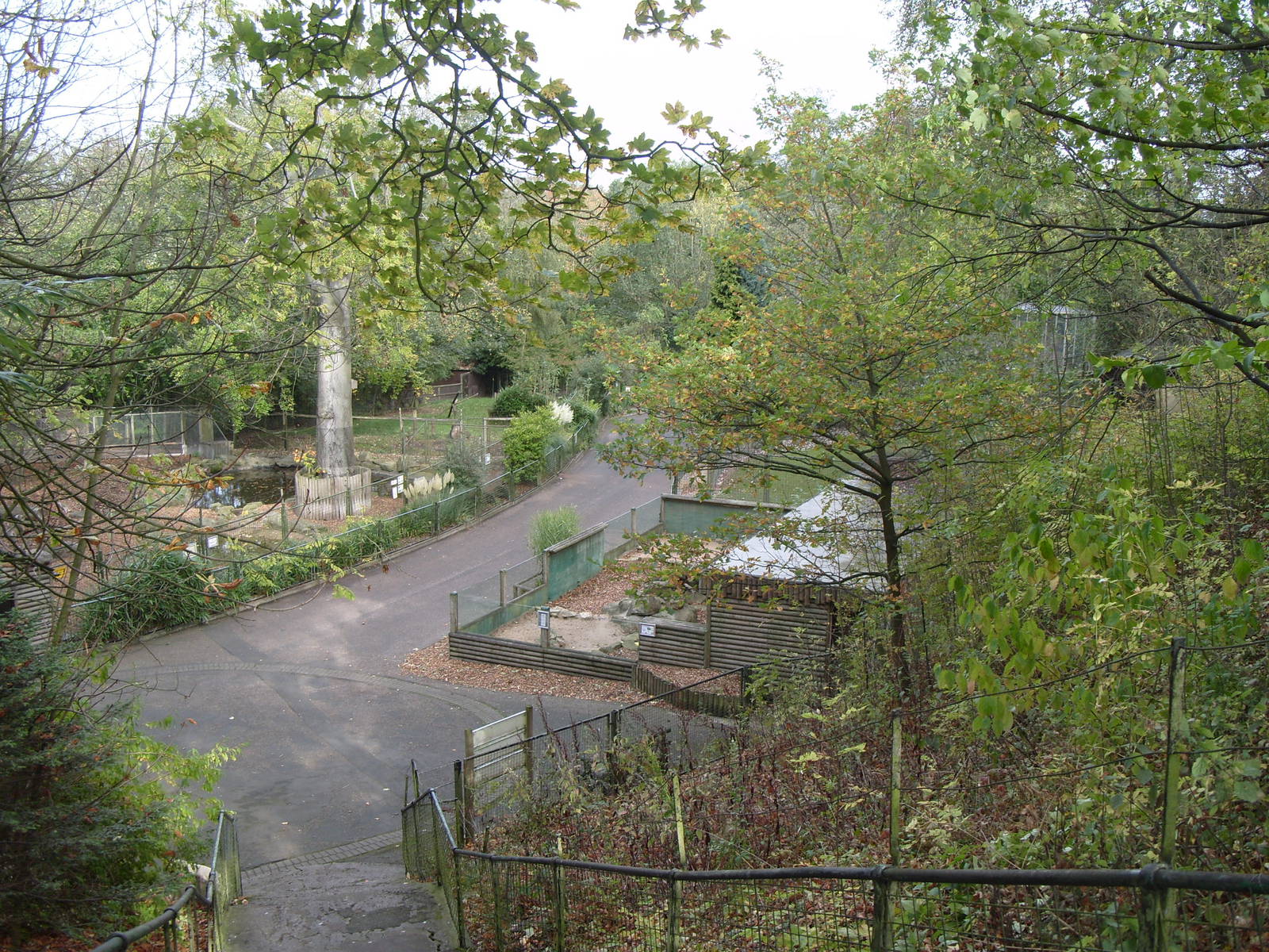 Tapir, Mongoose & Babirusa Enclosures
