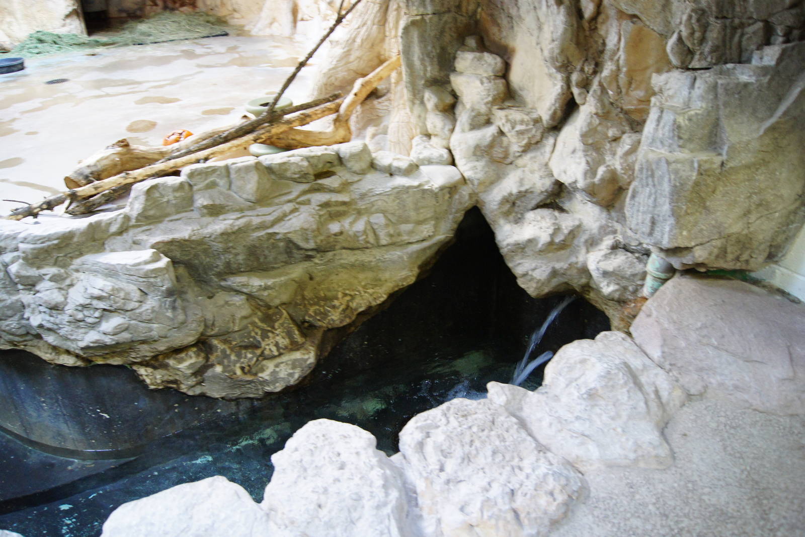Tapir Pool filling up