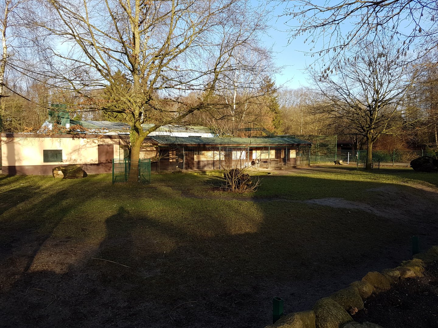 Tapir - Rhea enclosure