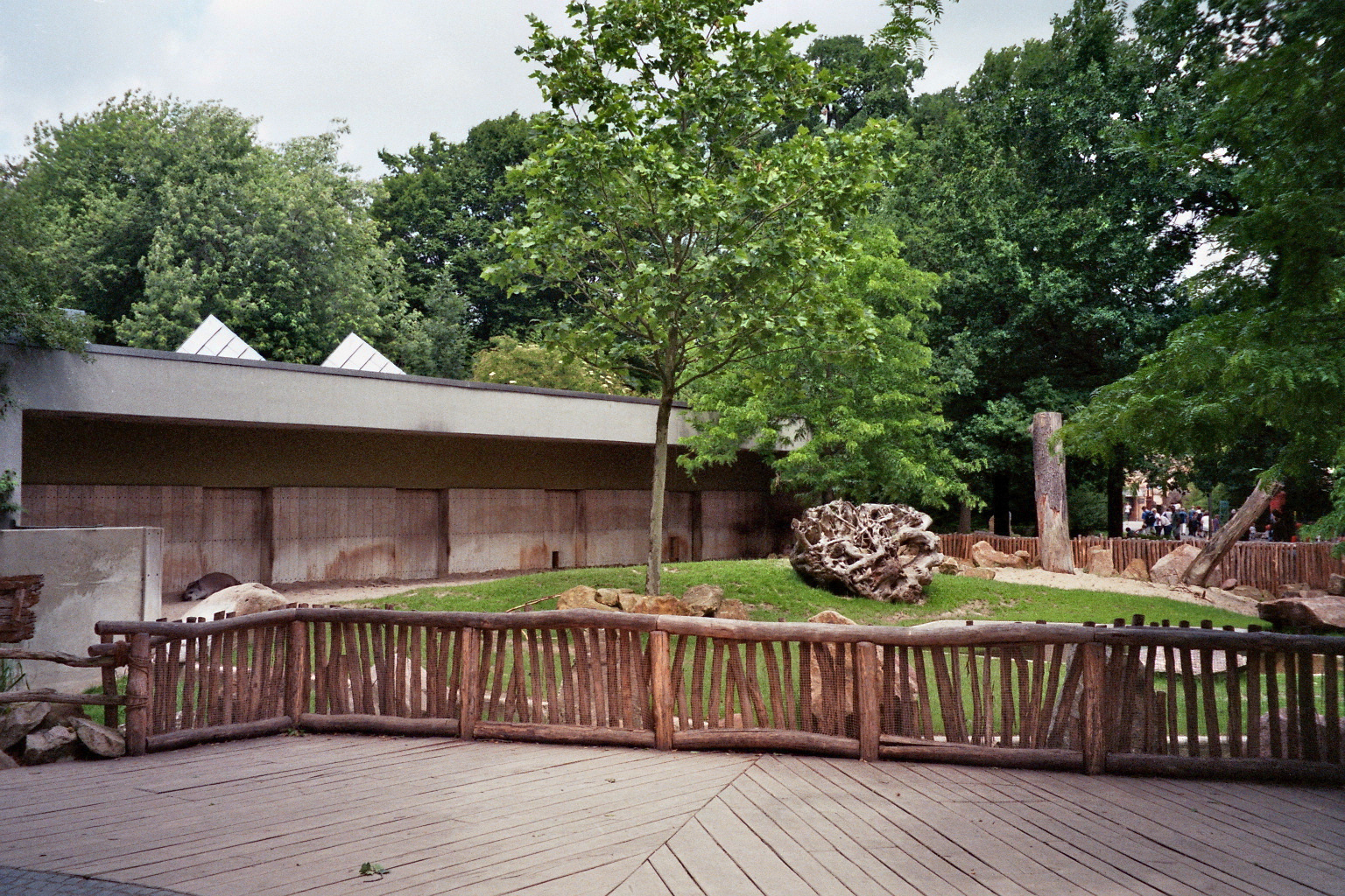 Tapir/Rhino exhibit