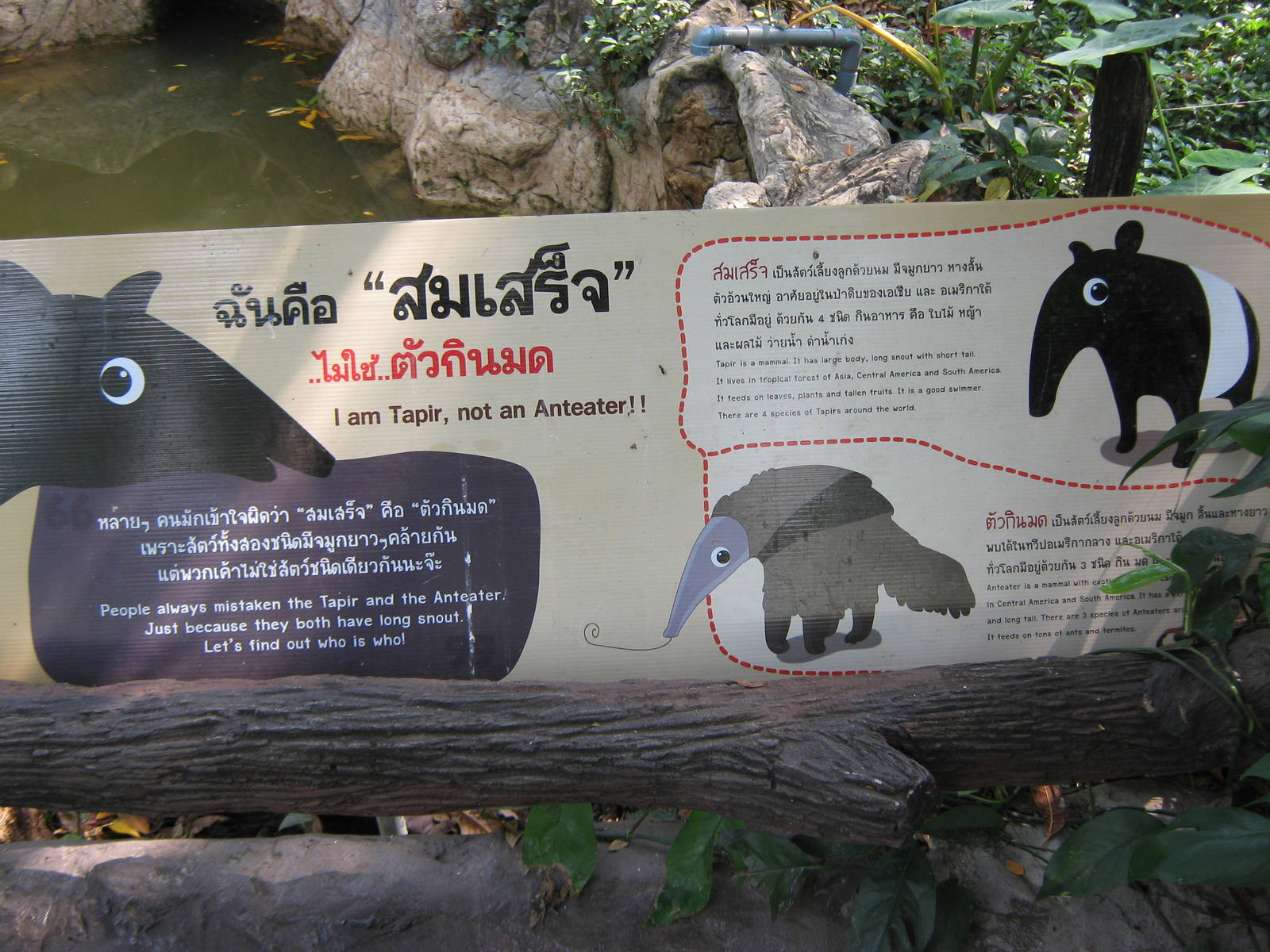 tapir sign