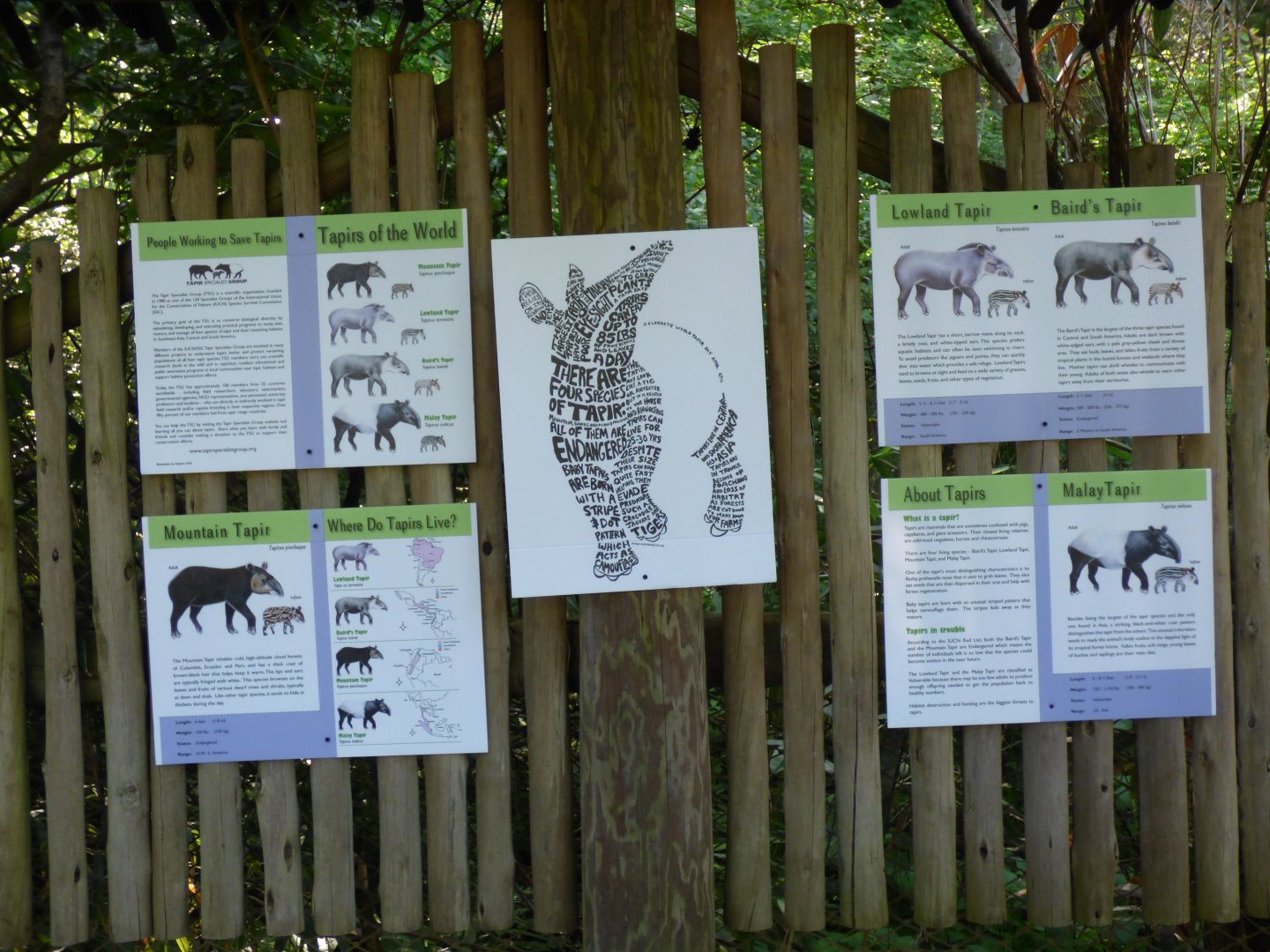 Tapir Signage - May 2018