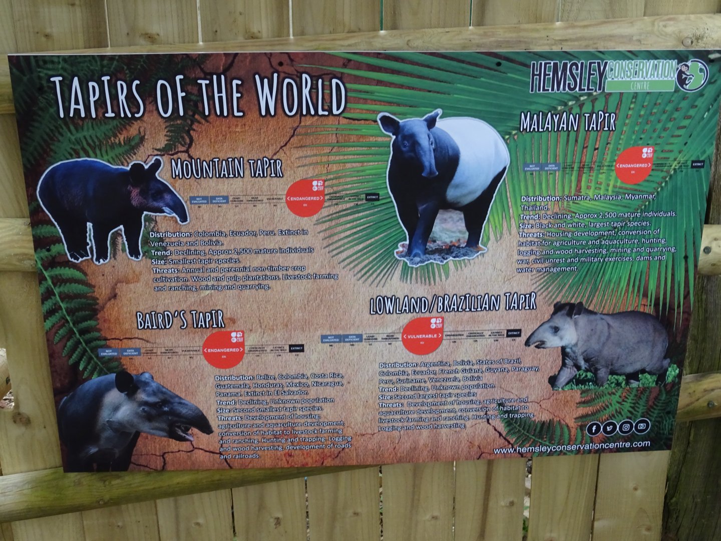 Tapir Signage