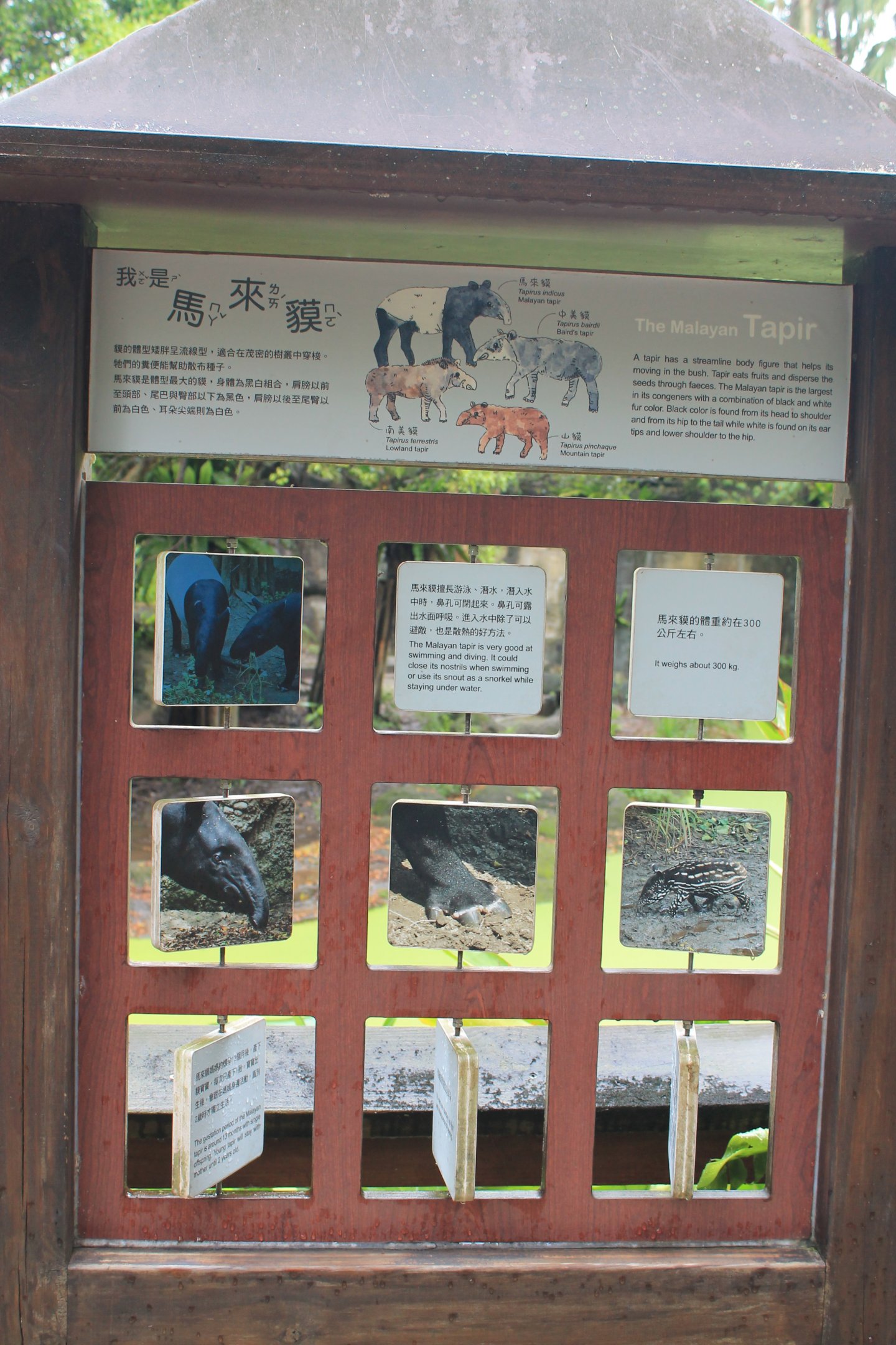 Tapir signage