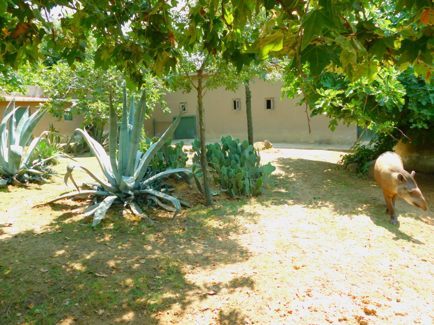 Tapirand capybara enclosure