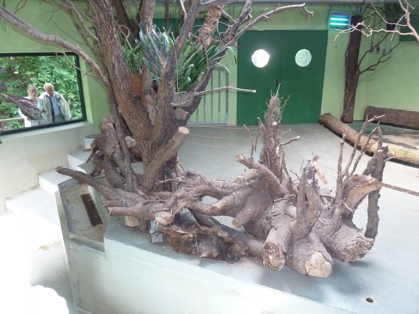 Tapirhaus - Main stable