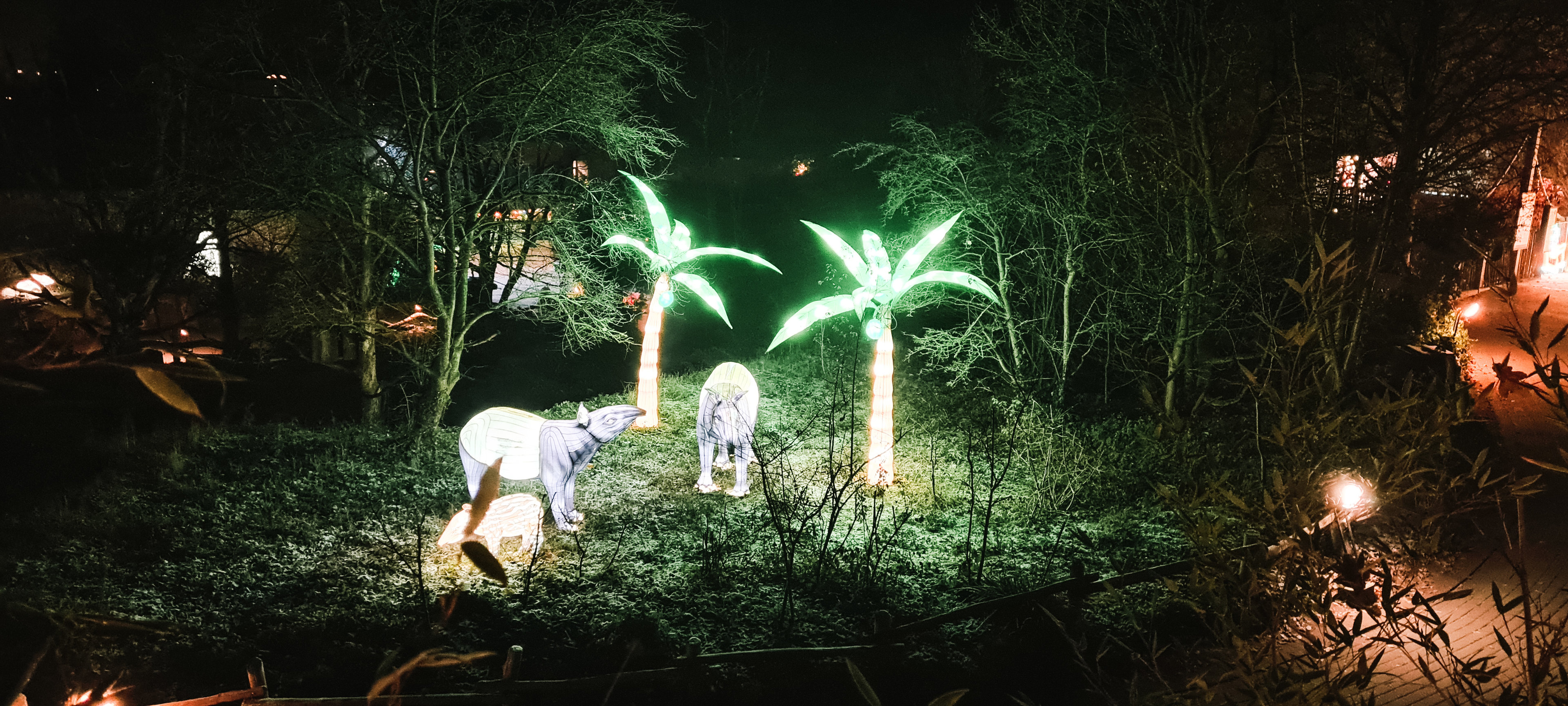 Tapirs on Spider Monkey house