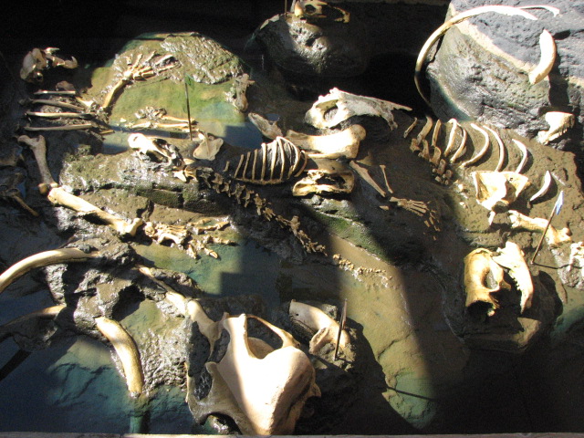 Tar Pit Replica