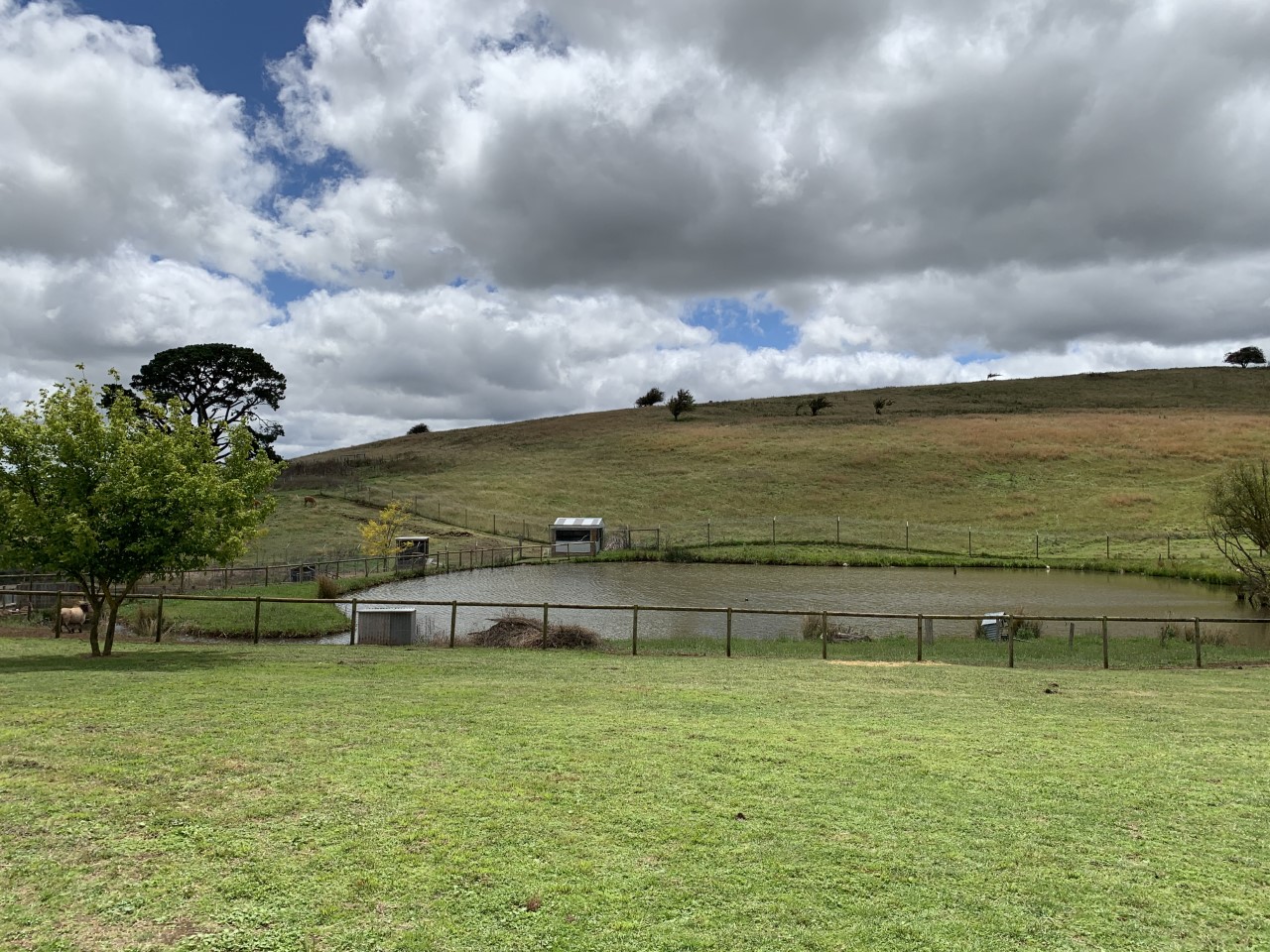 Taralga Wildlife Park Dam