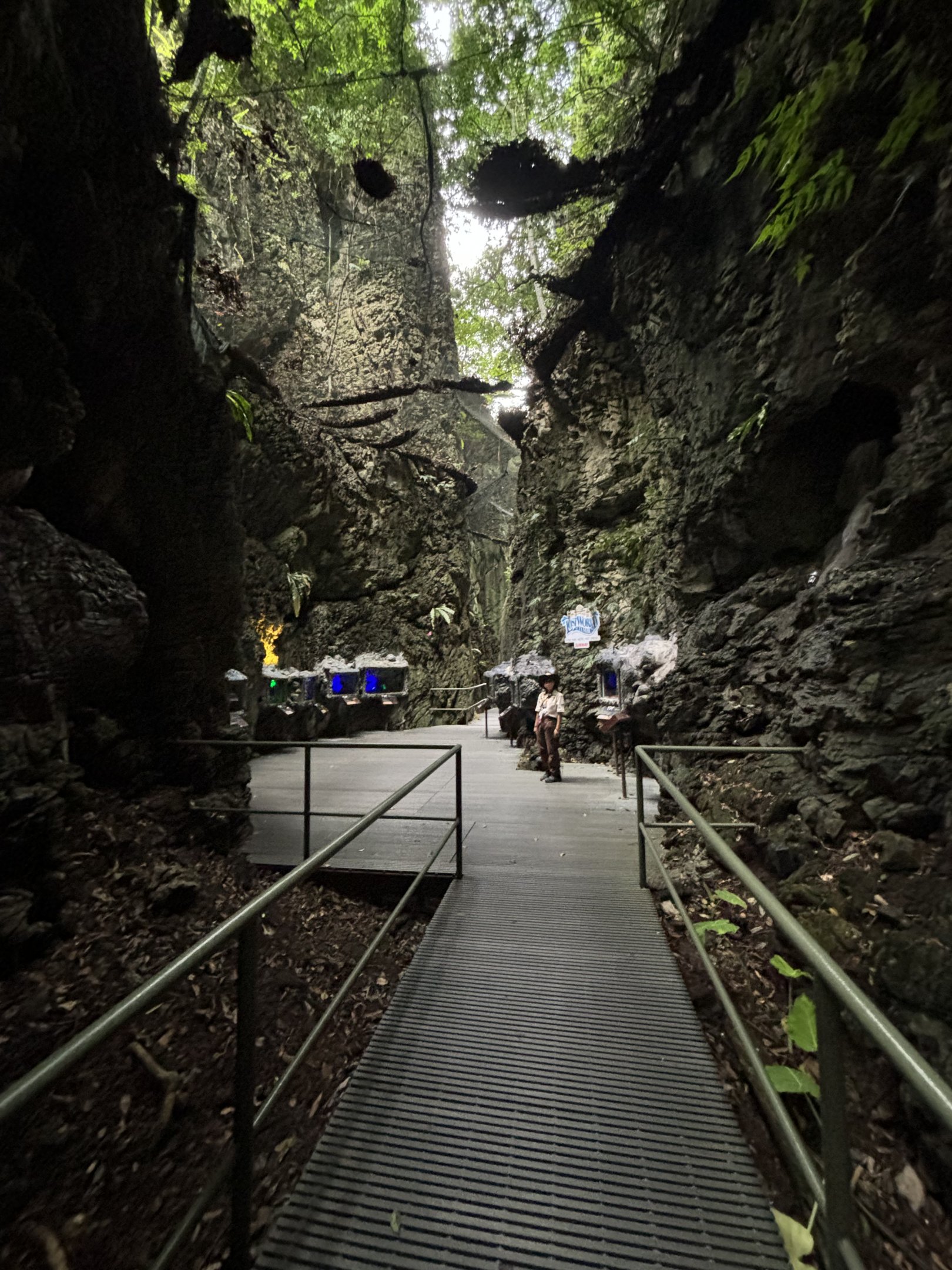 Tarantula Alley - Lost World of Tambun