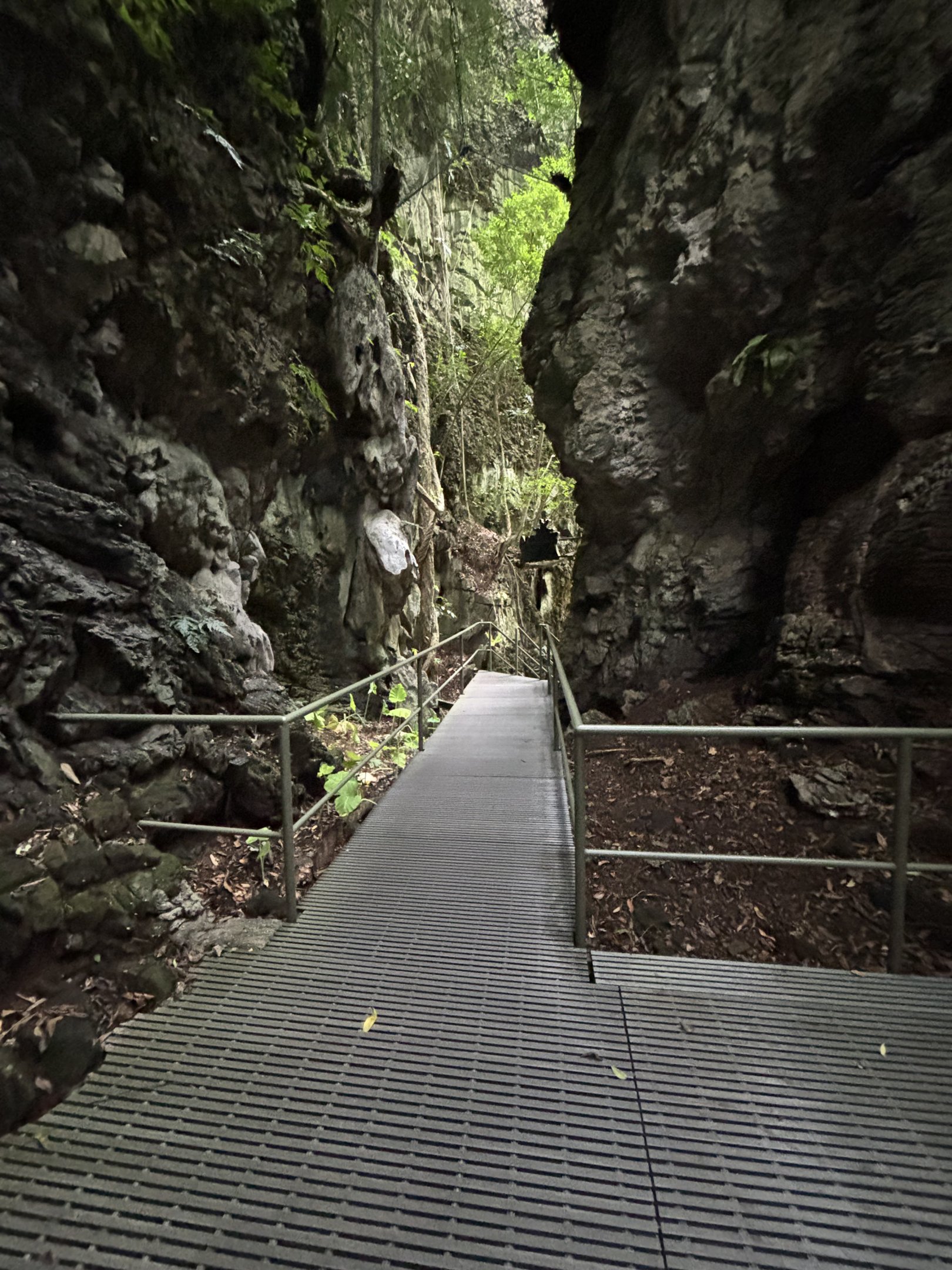 Tarantula Alley - Lost World of Tambun