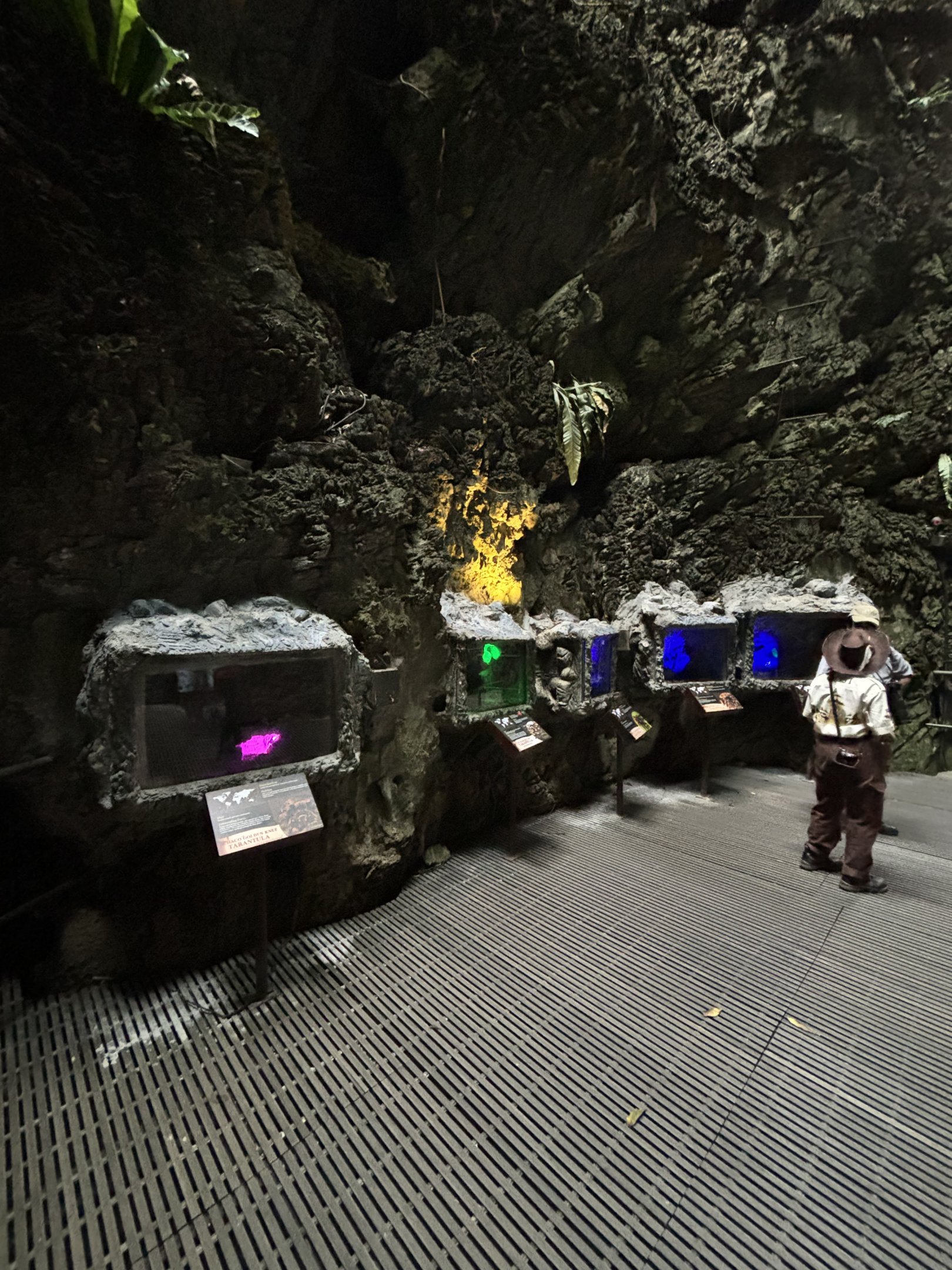 Tarantula Alley - Lost World of Tambun